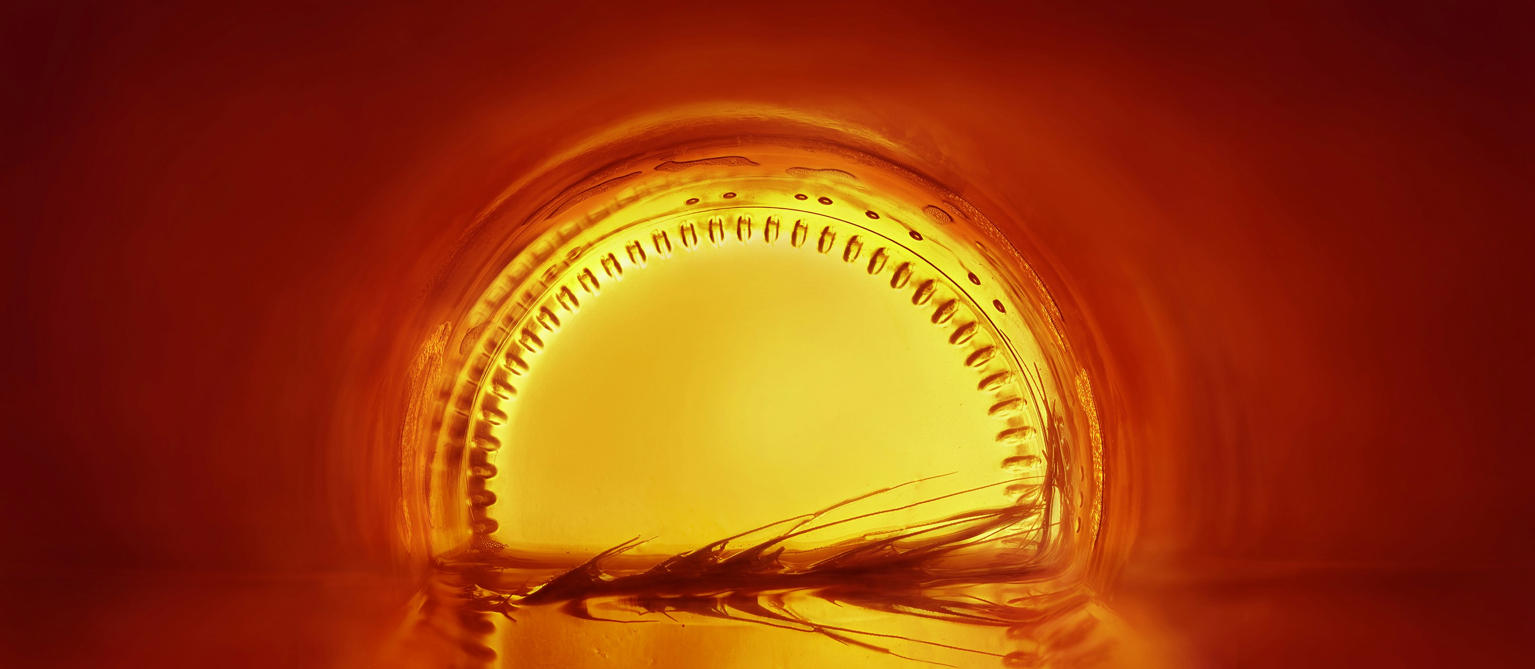 Free Unsplash photo from Piotr Miazga