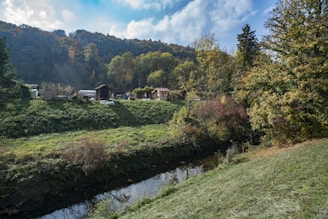 Plot of land framed by tall trees with a small creek nearby.