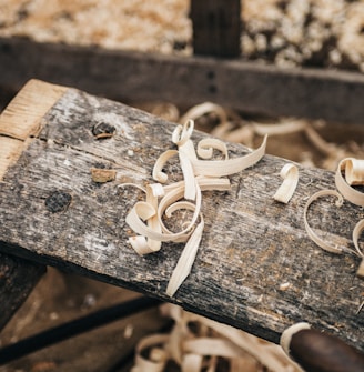 selective photography sawdust on plank