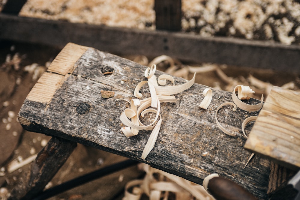 Photographie sélective sciure de bois sur planche