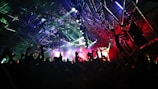 crown at concert