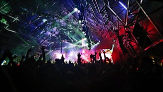 crown at concert