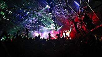 crown at concert