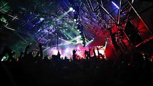 crown at concert