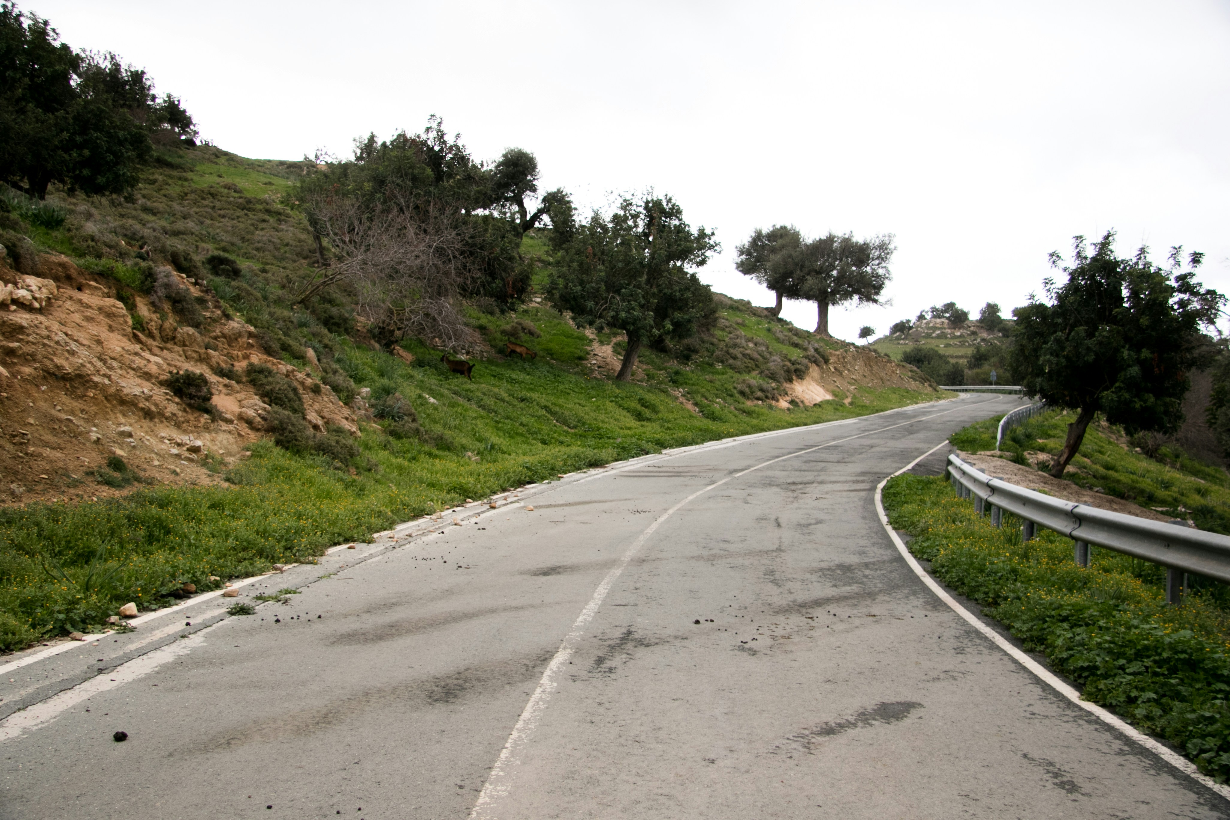 Free Unsplash photo from Despo Potamou