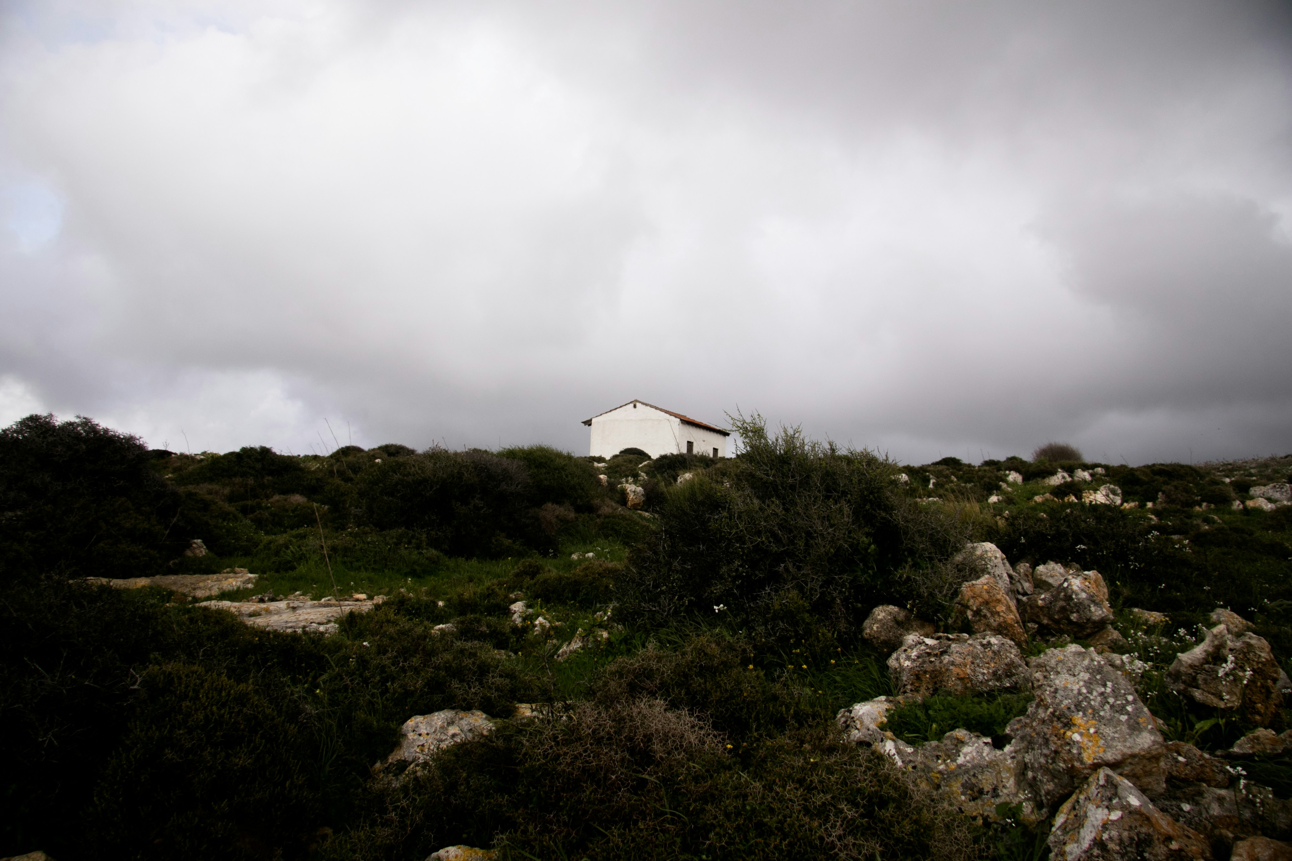 Free Unsplash photo from Despo Potamou