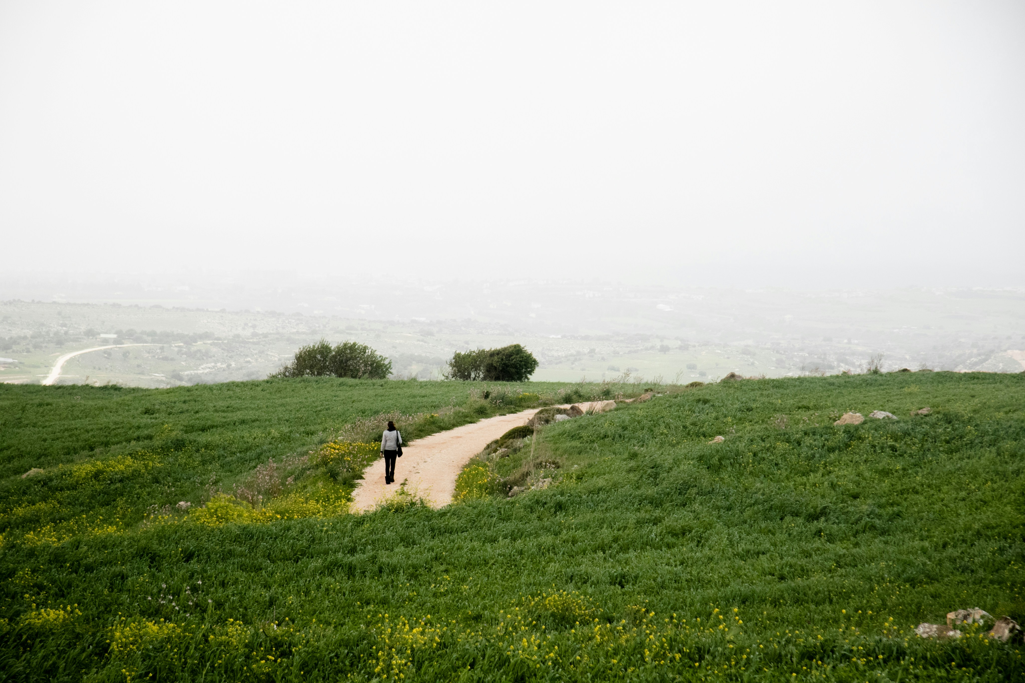 Free Unsplash photo from Despo Potamou