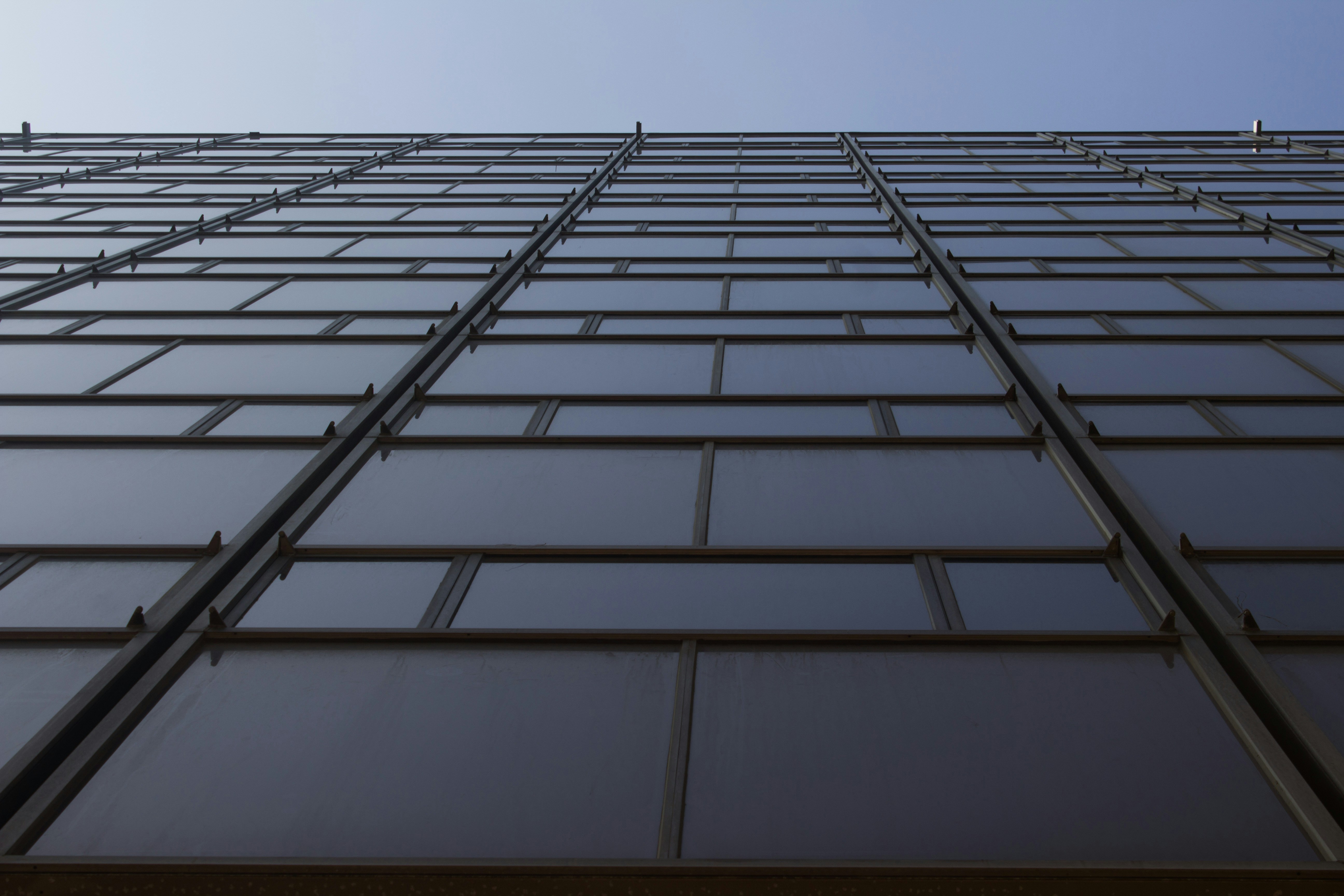 Free Unsplash photo from Aryan Bellani