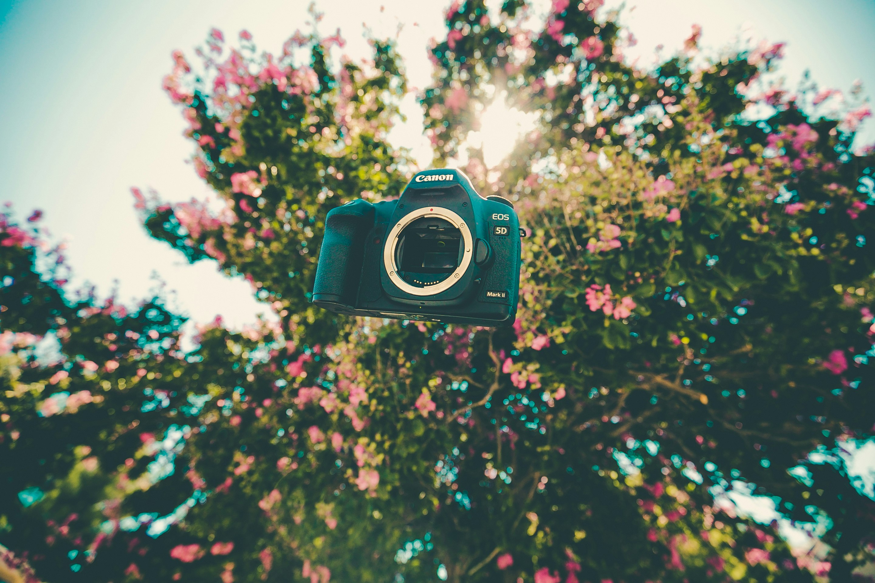 black Canon EOS on mid air near trees during daytime