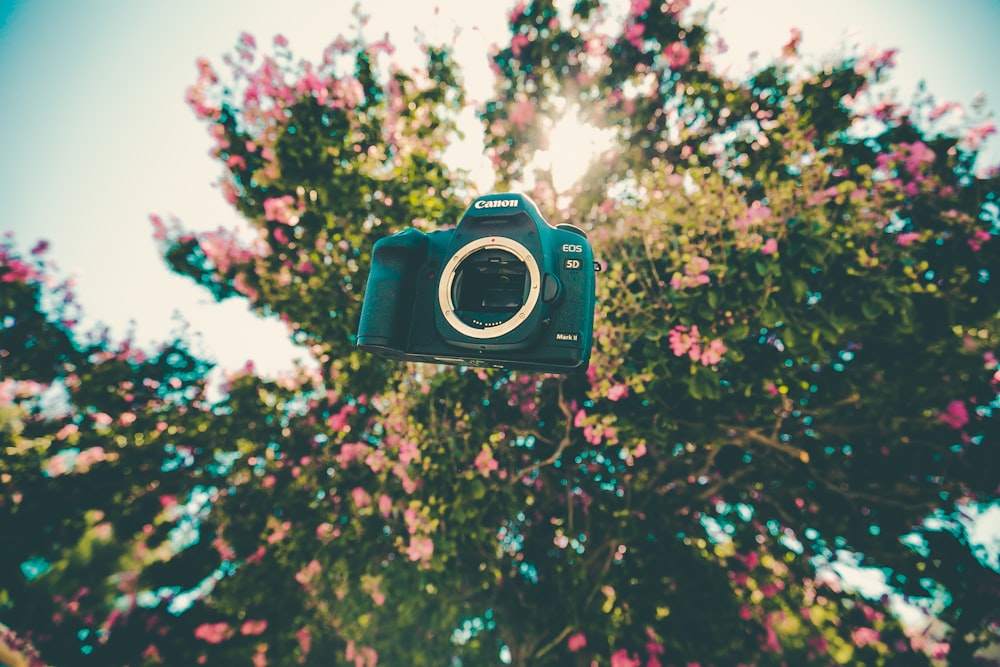 Canon EOS negra en el aire cerca de los árboles durante el día