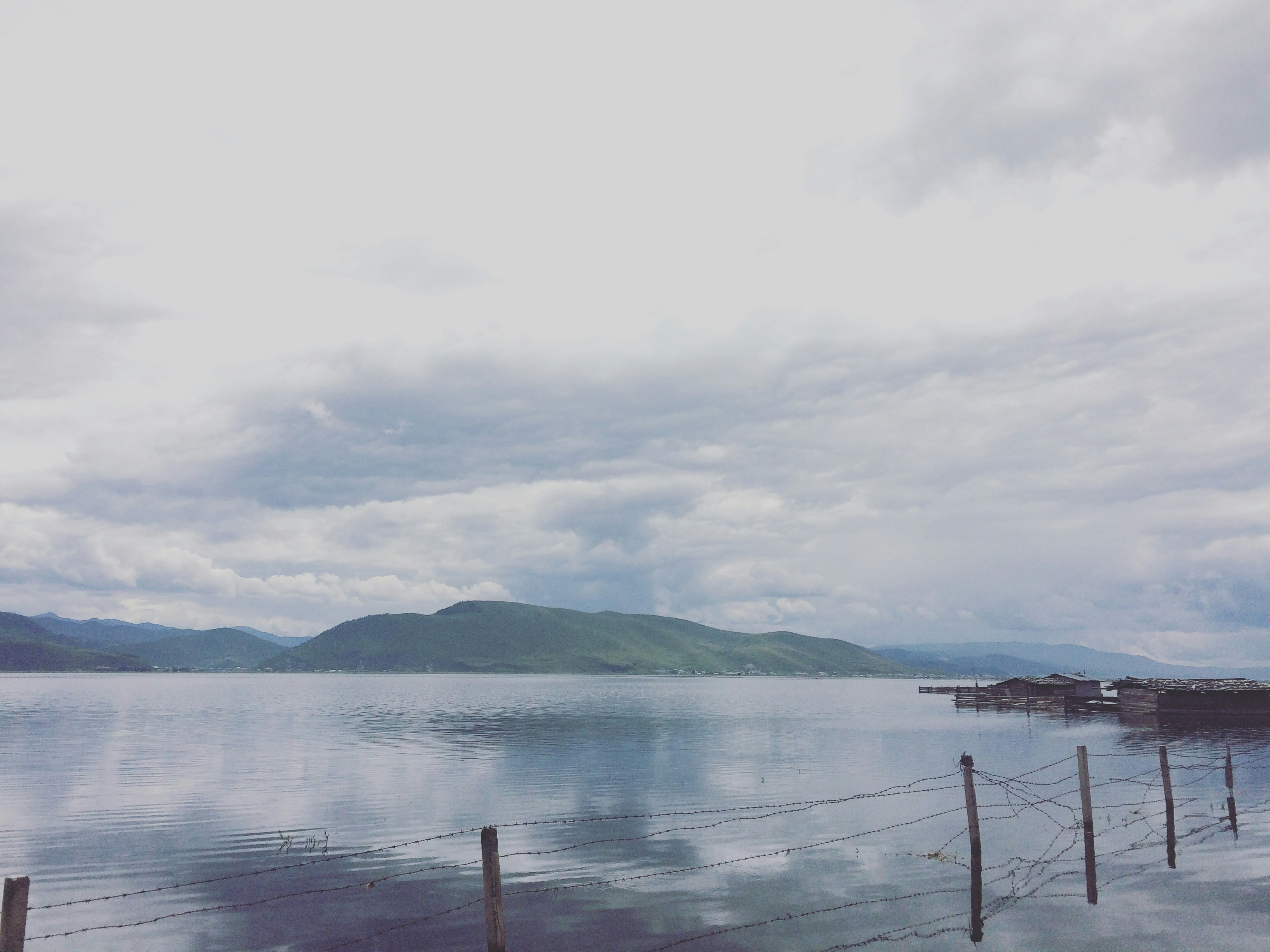 Free Unsplash photo from shalene yip