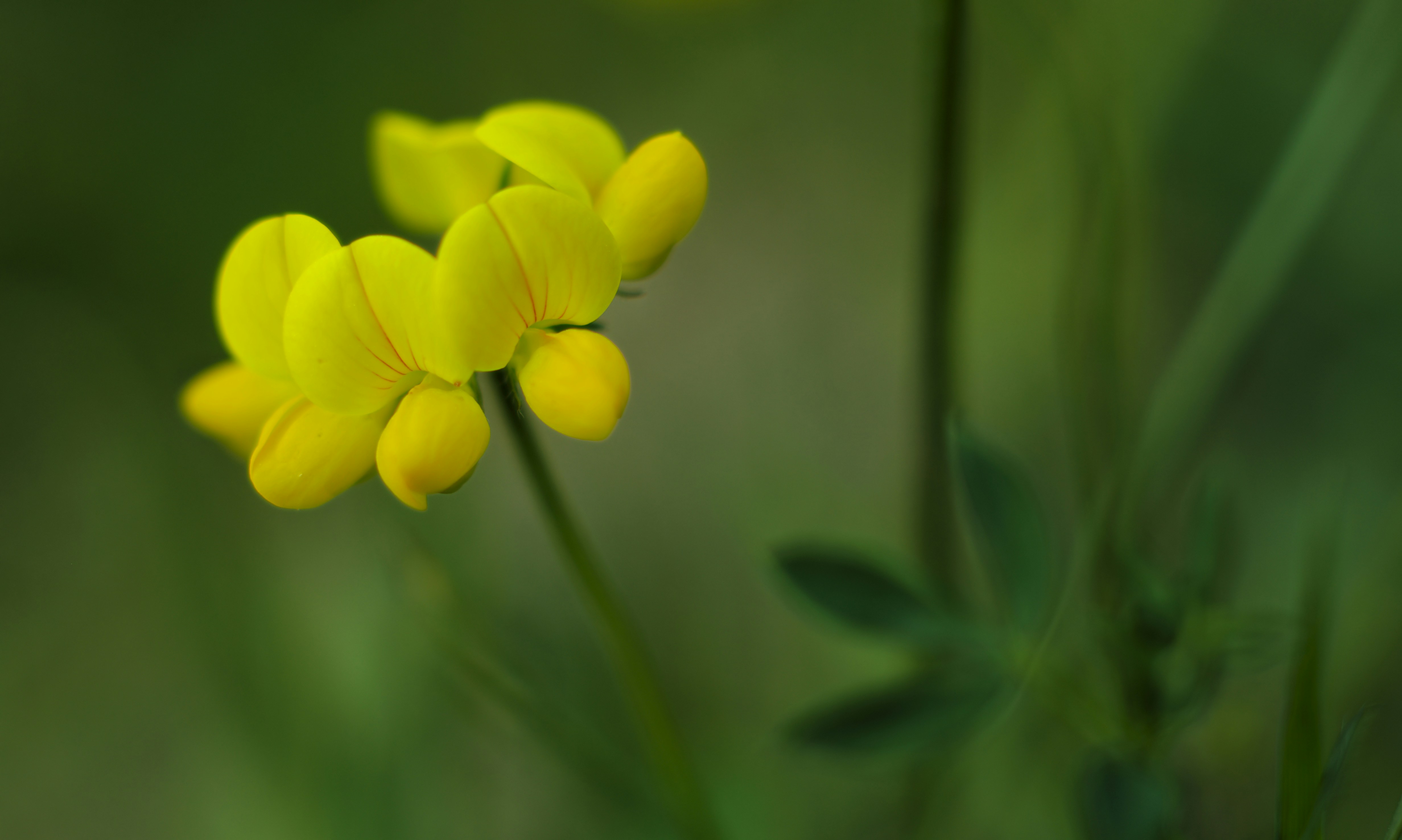 Free Unsplash photo from Michael Figiel