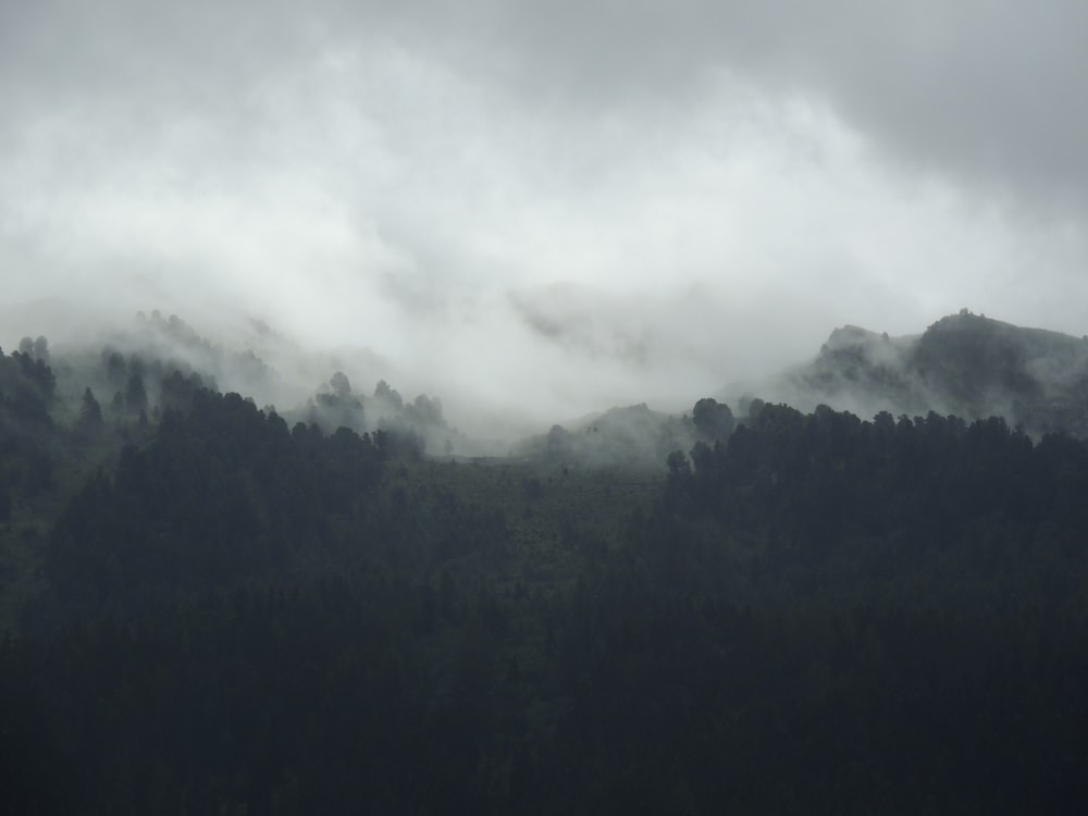 silueta de montaña cubierta de niebla