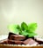 Several pieces of chocolate fudge are garnished with fresh green mint leaves. The chocolates are laid out on a surface, and the mint leaves add a vibrant touch to the arrangement.