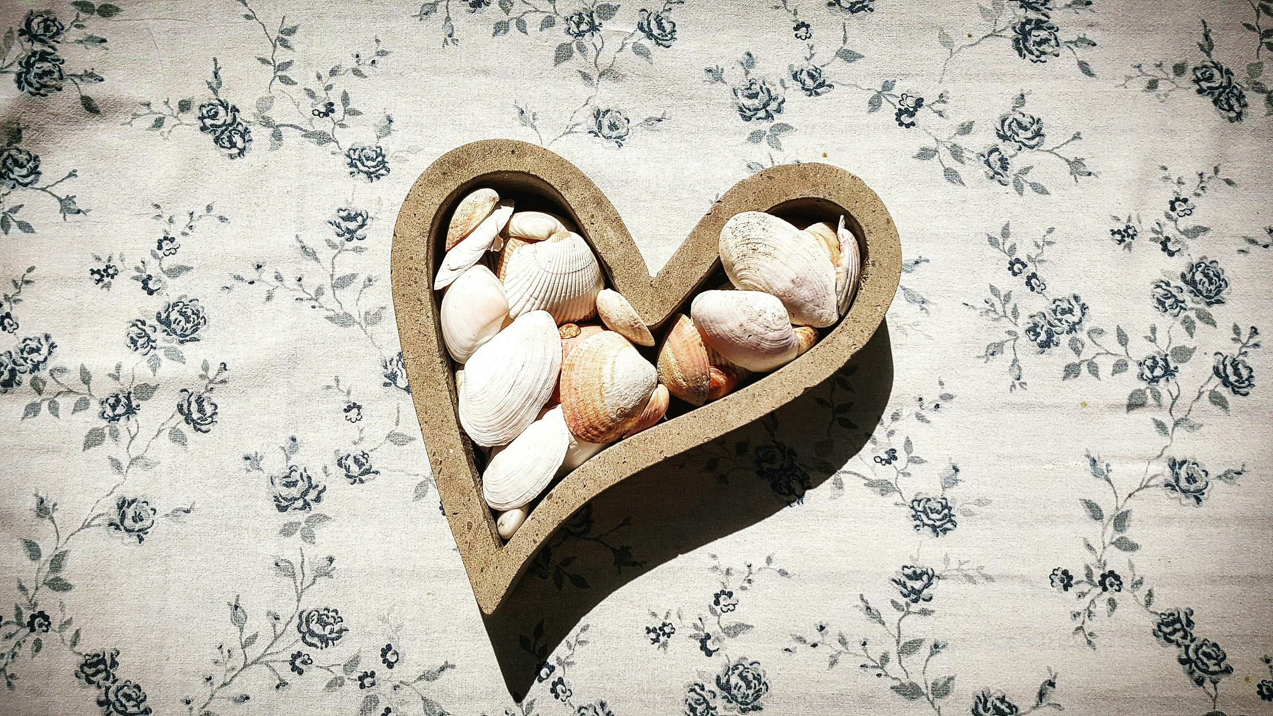 Free Unsplash photo from Joakim Lamkiewicz