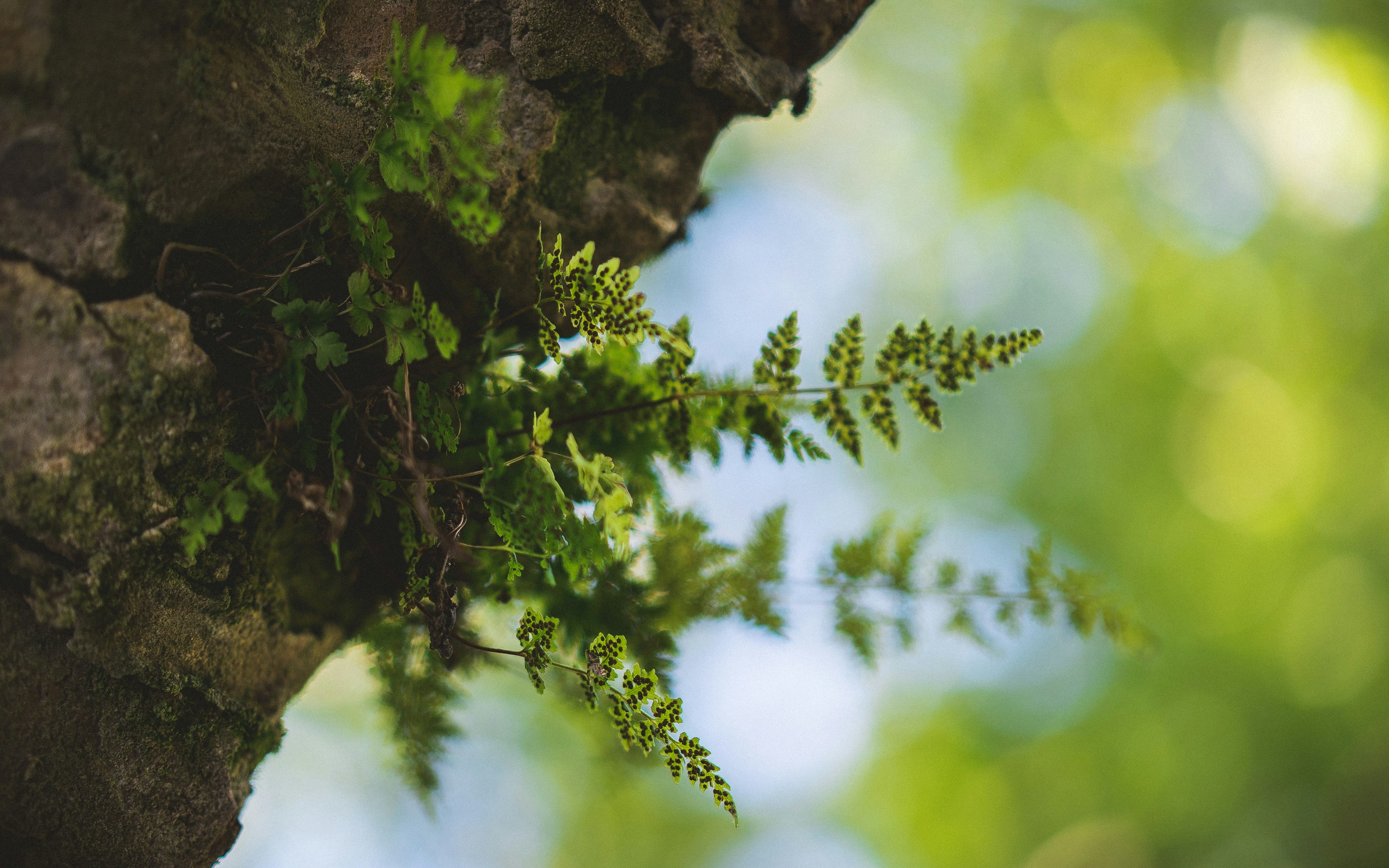 Free Unsplash photo from Samuel Dixon