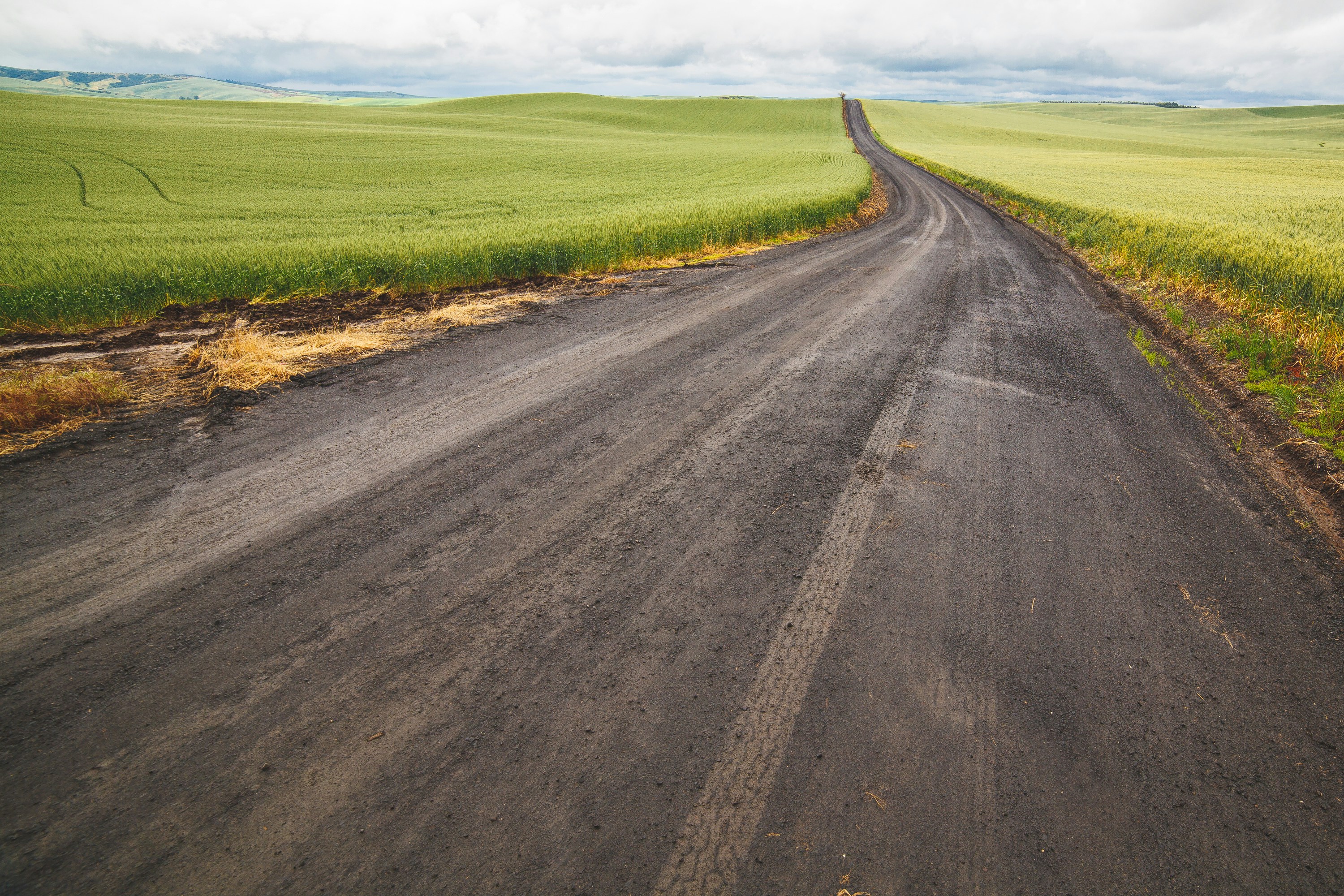 Free Unsplash photo from Samuel Dixon