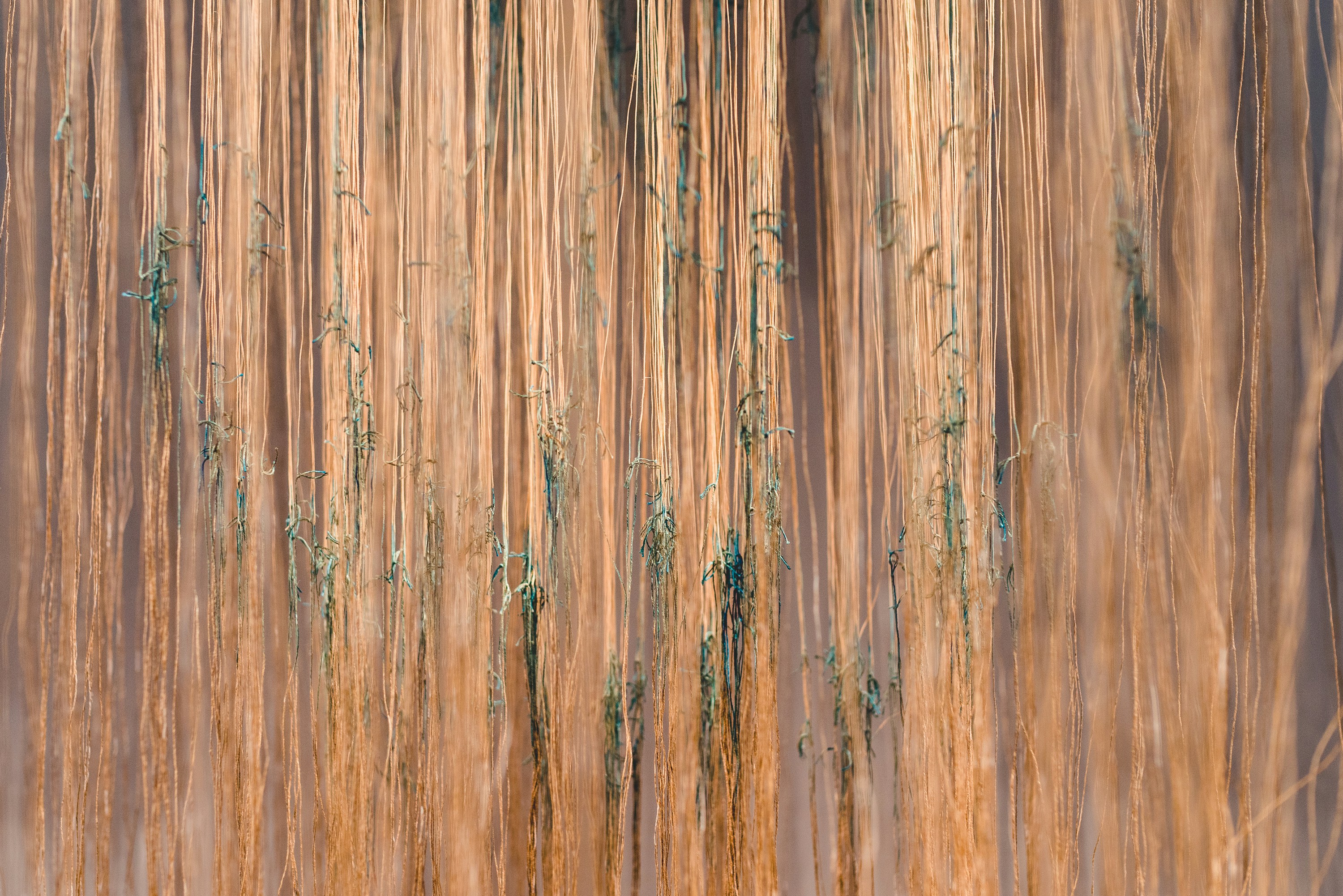 Free Unsplash photo from Samuel Dixon