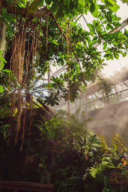 Soft glowing light filtering through lush green plants inside the modern temple space.