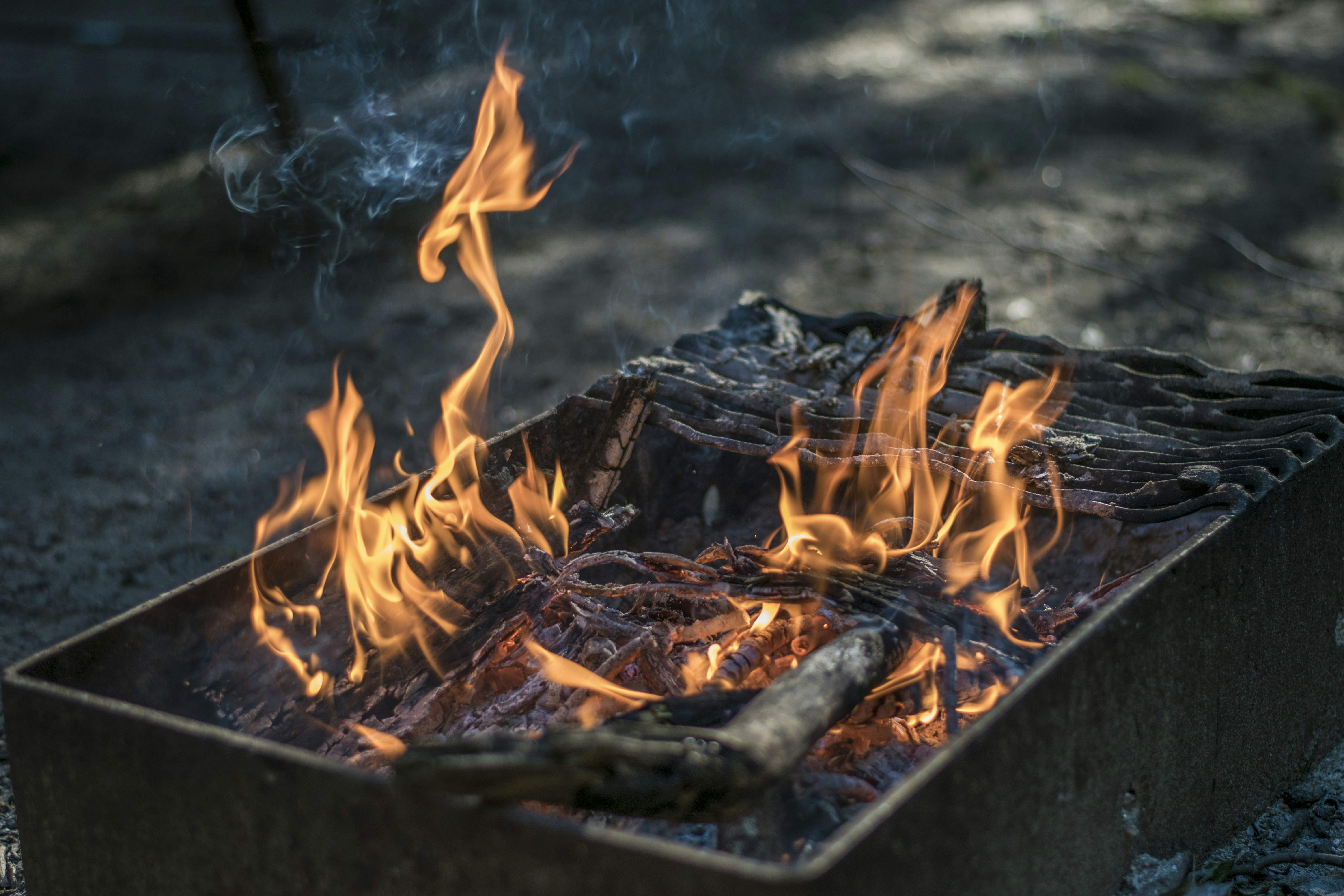 https://images.unsplash.com/photo-1470406601945-7a6890b947b6?ixid=M3w2MjYzNjJ8MHwxfHNlYXJjaHw3fHxTb25ueSUyN3MlMjBCQlF8ZW58MHwwfHx8MTcyNDEwMzQ1Mnww&ixlib=rb-4.0.3