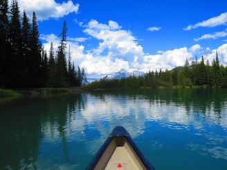 A serene lake reflecting towering pine trees and a clear sky, with a lone kayak gliding silently across.