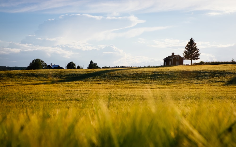 green grass field with house during daytime