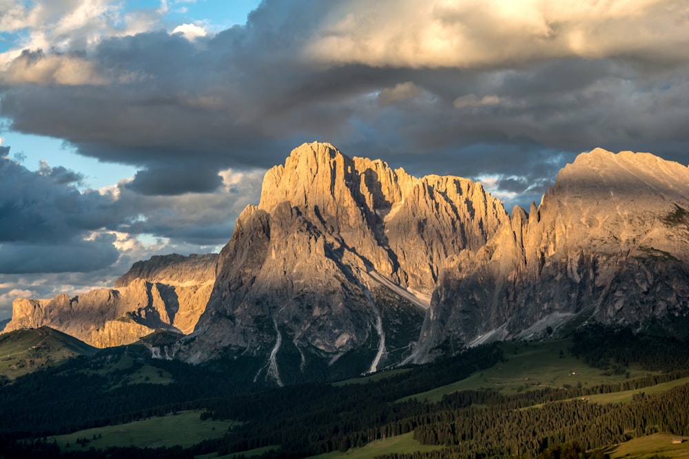 panoramic photography of bugatte