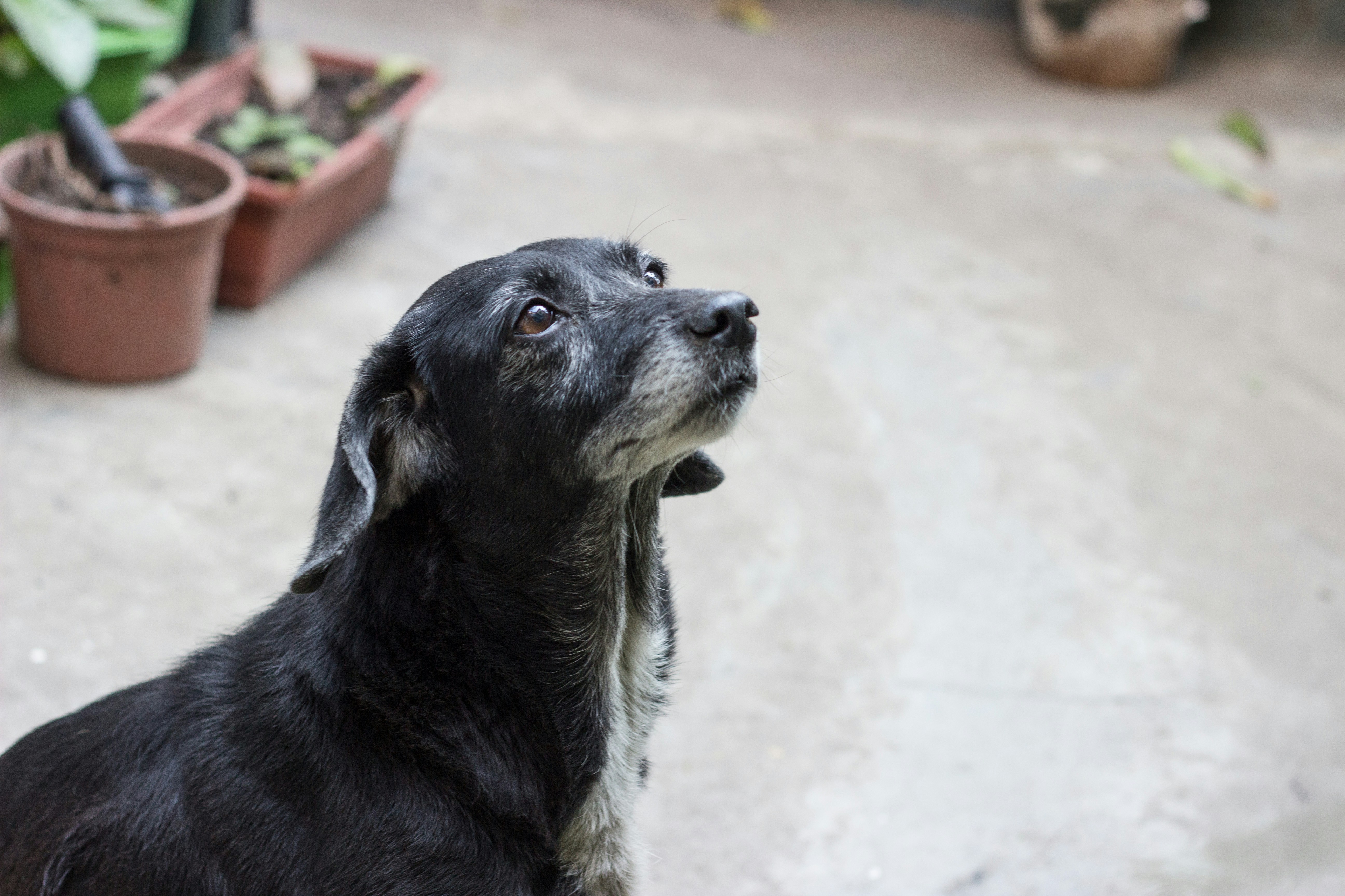 Free Unsplash photo from Diogo Vasconcellos