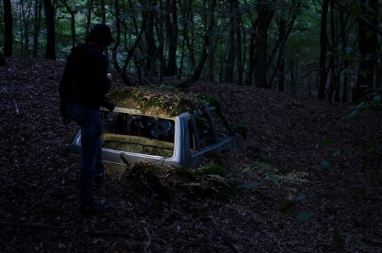 landscape photography of man standing in front of half-buried broken car at forest in Bra Italy