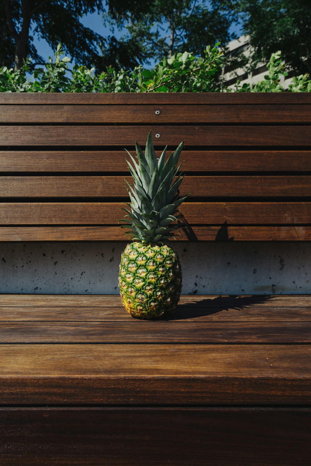 Fruta de piña en banco