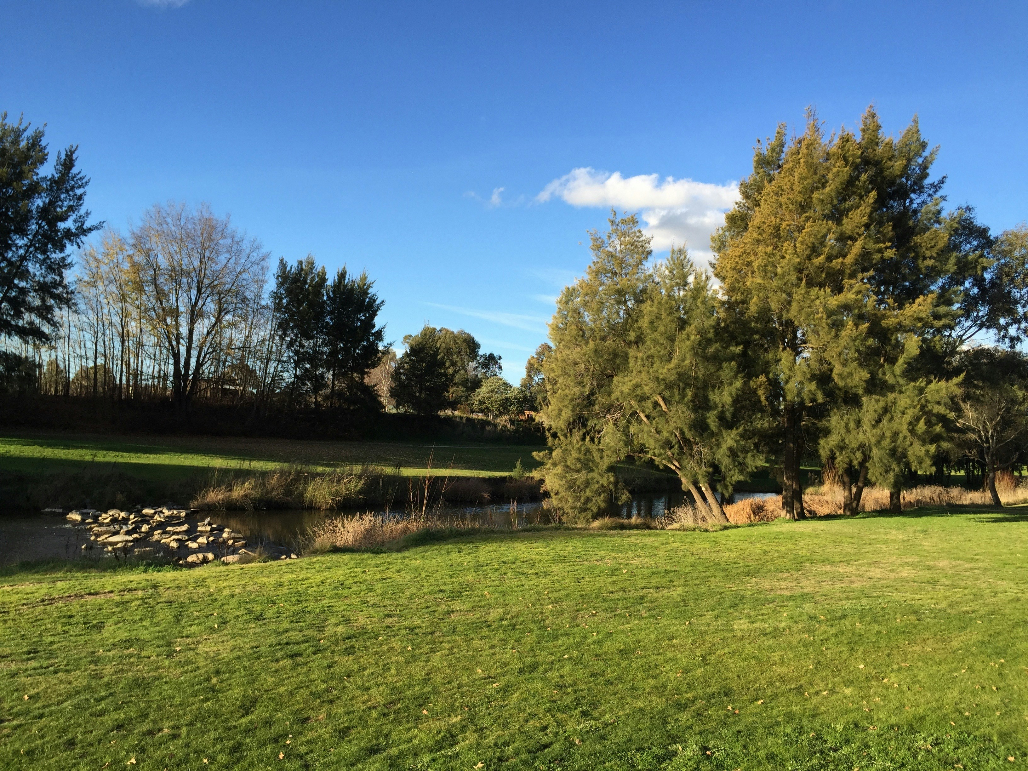 Free Unsplash photo from Tony ONeill