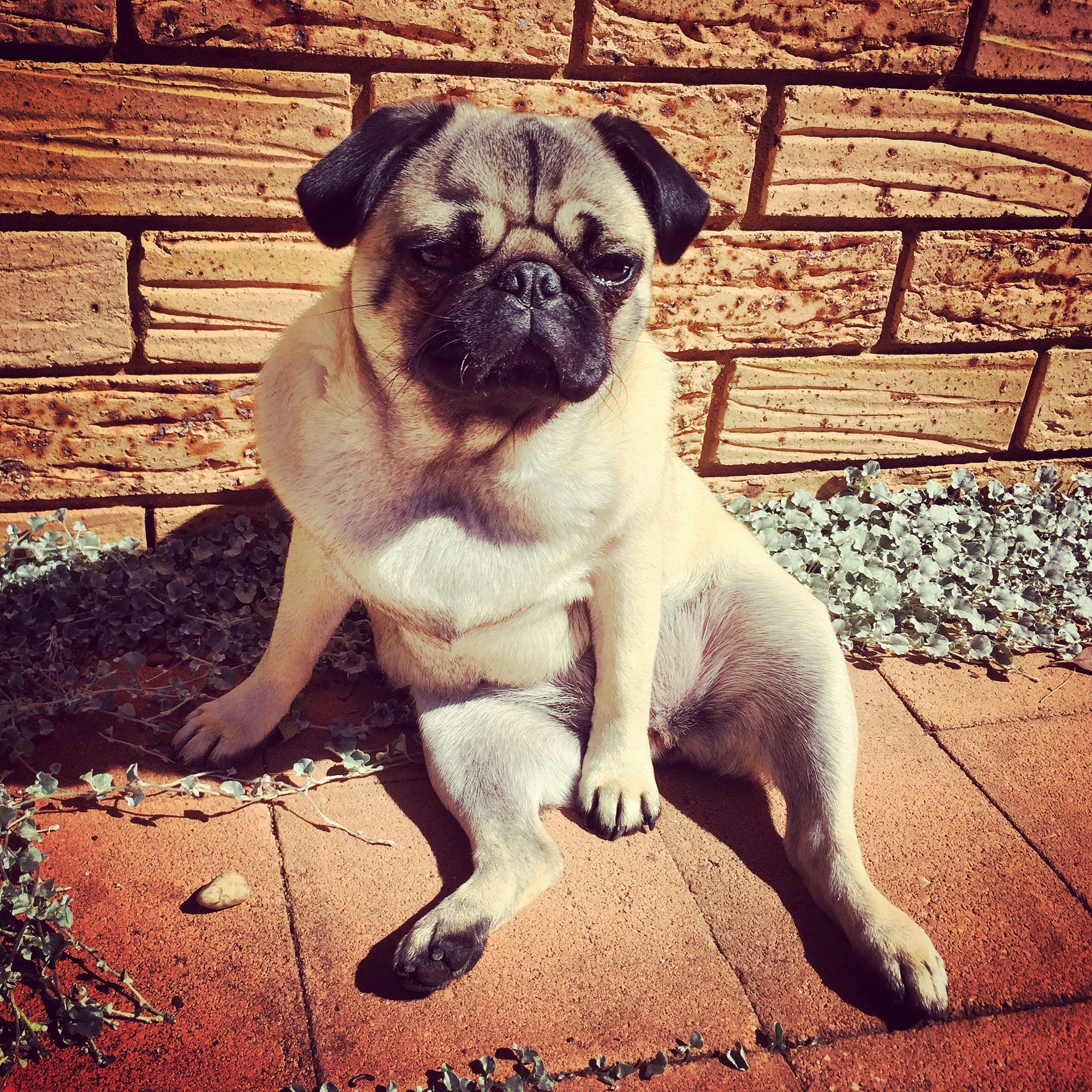 Free Unsplash photo from Tony ONeill