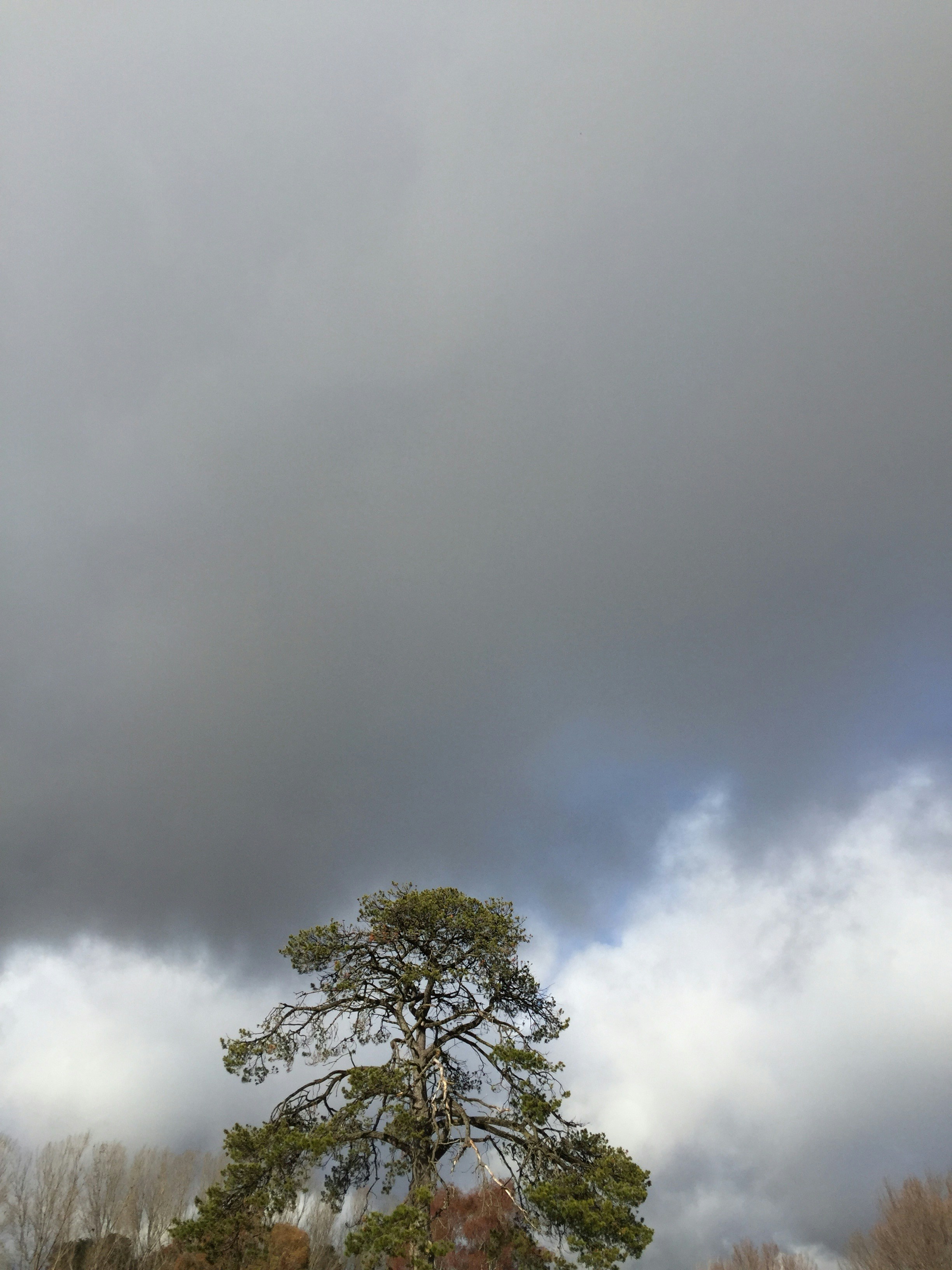 Free Unsplash photo from Tony ONeill