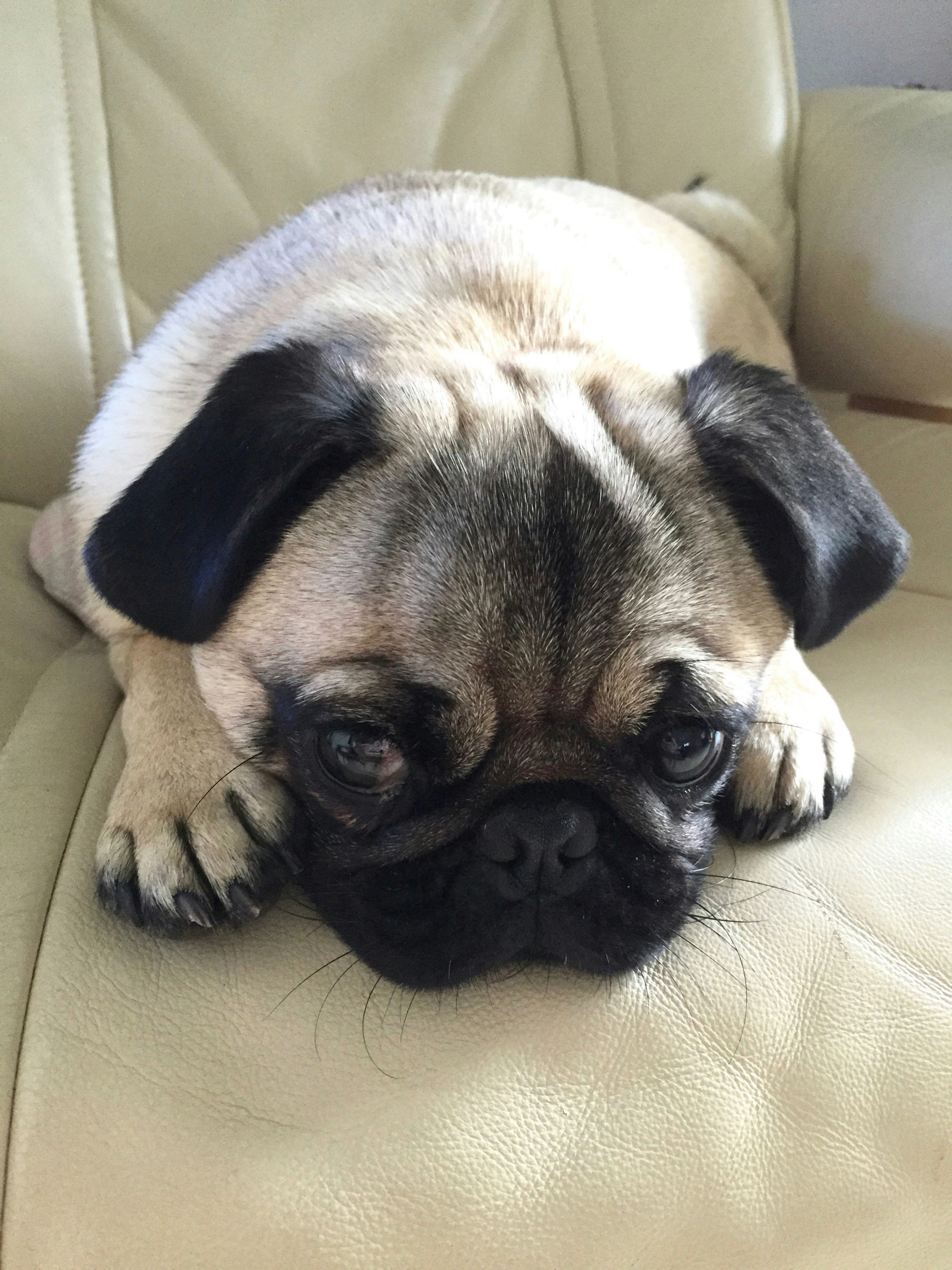 Free Unsplash photo from Tony ONeill