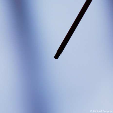 A close-up shot of a microneedle patch under a cleanroom environment, highlighting intricate nanostructures in deep blue hues.