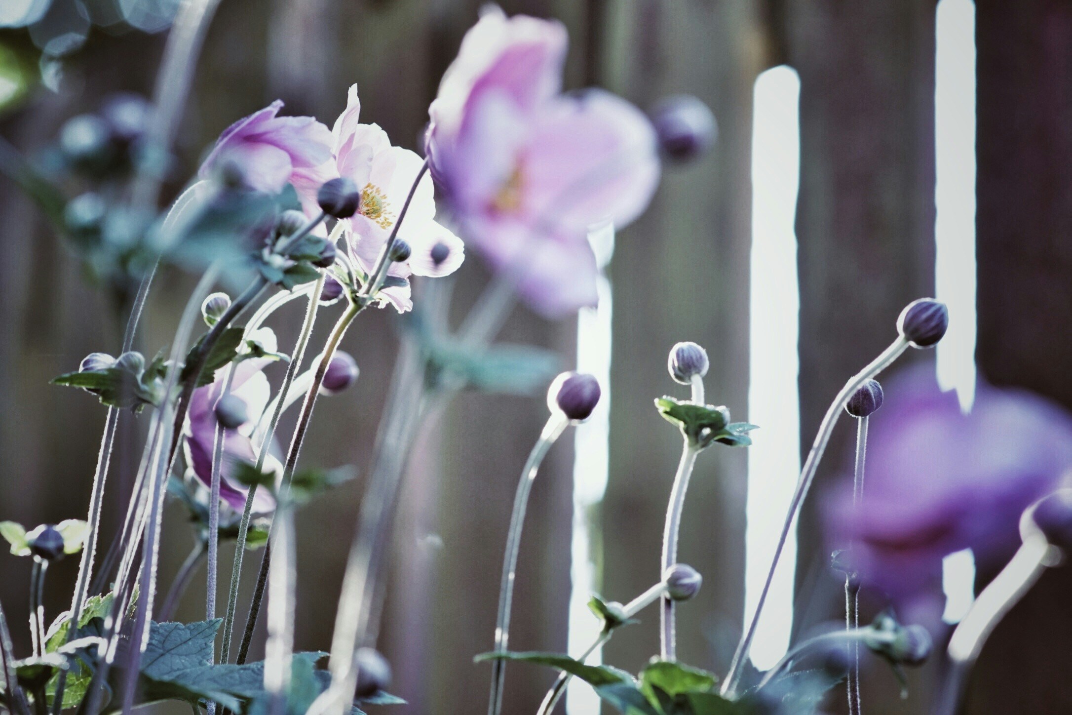 Free Unsplash photo from Richard Brown