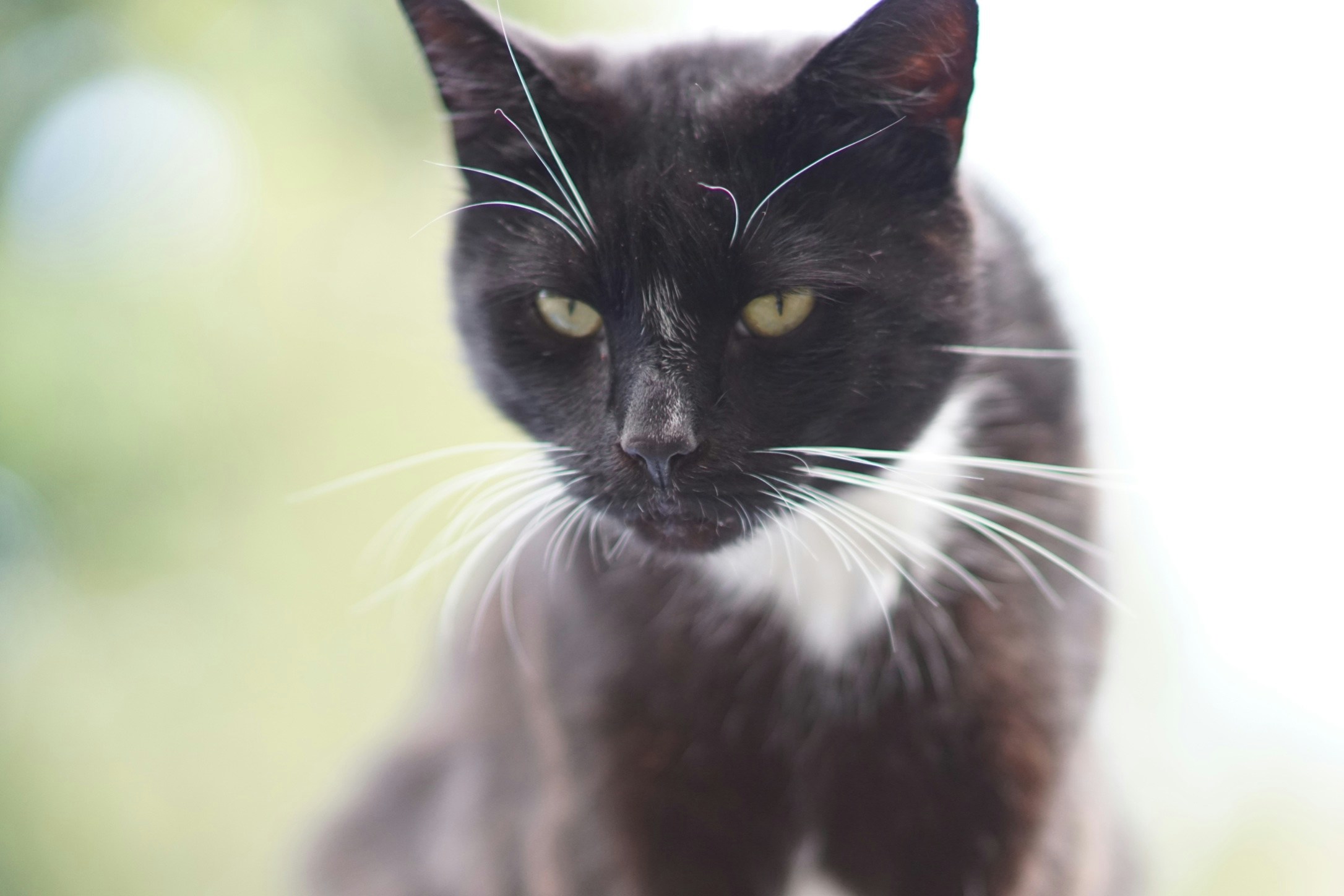 Free Unsplash photo from Richard Brown