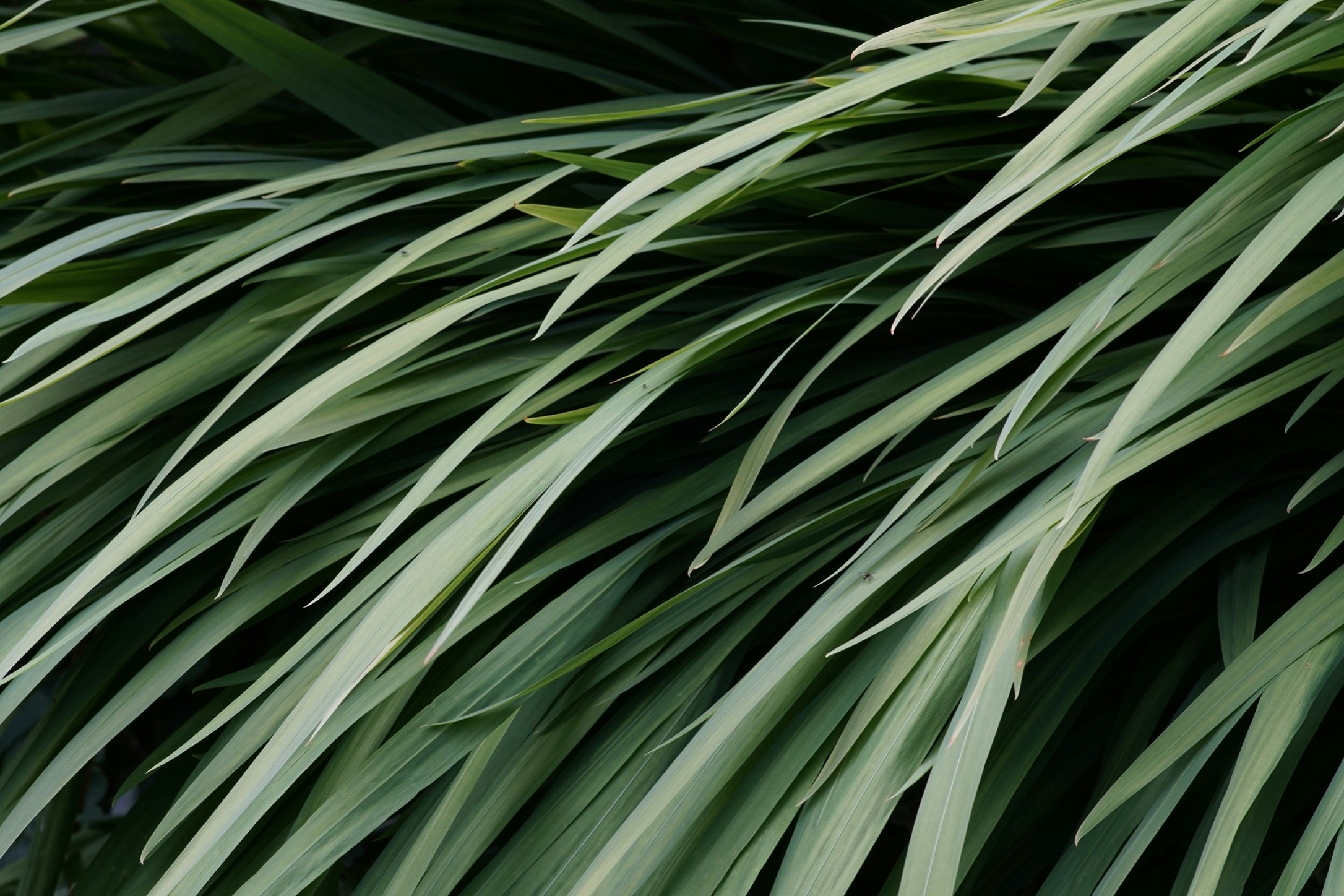 Free Unsplash photo from Richard Brown