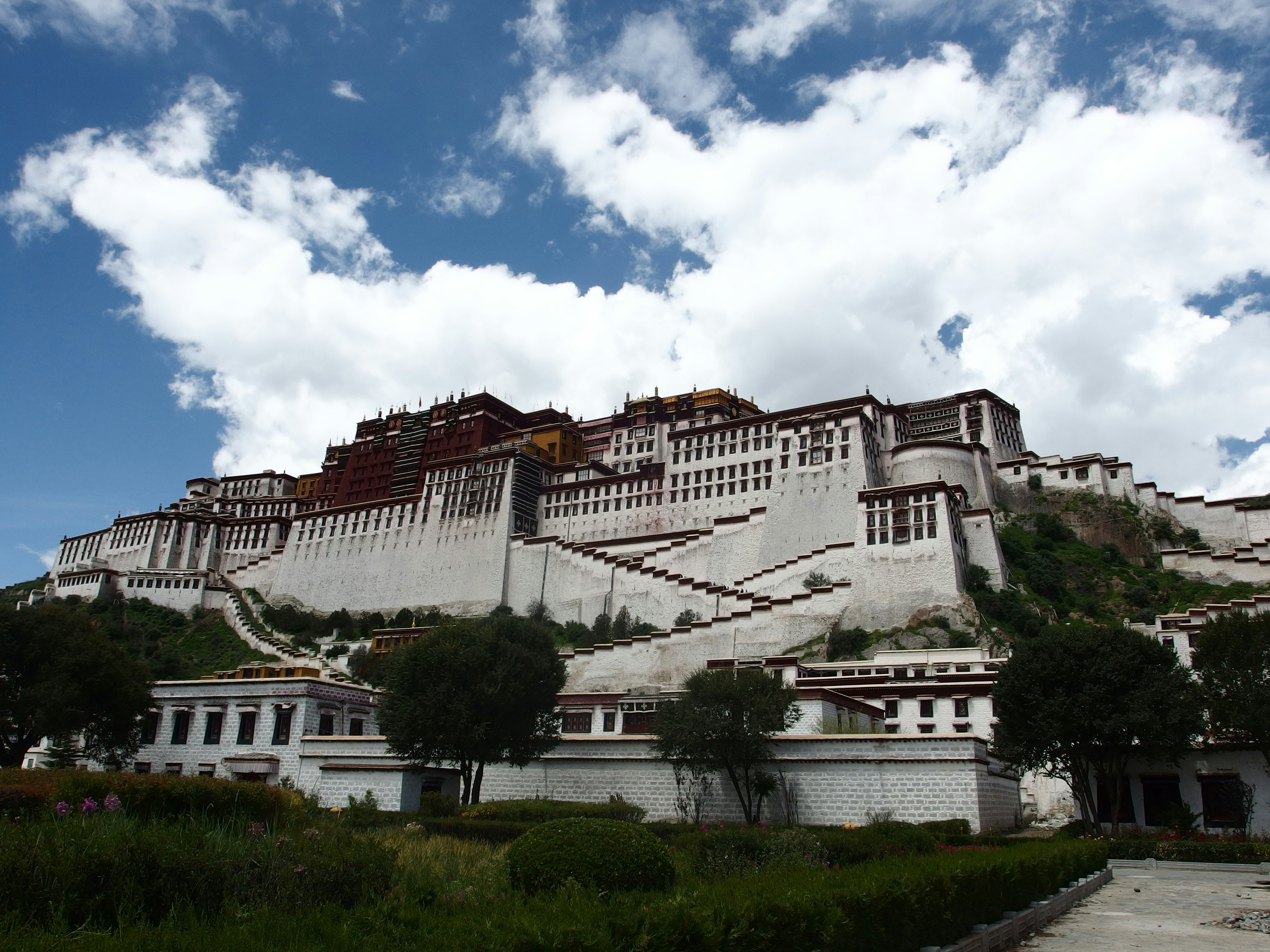 Free Unsplash photo from Z PF