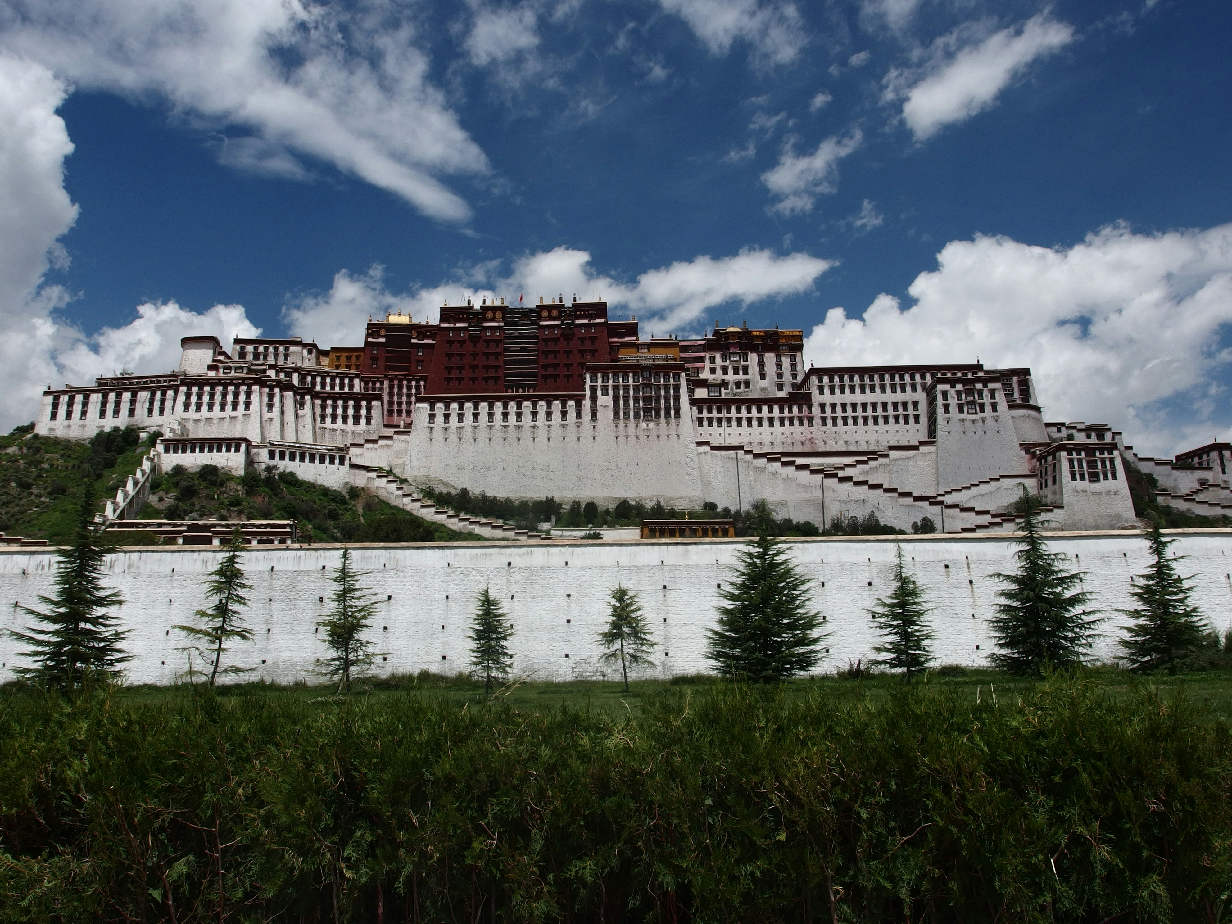 Free Unsplash photo from Z PF