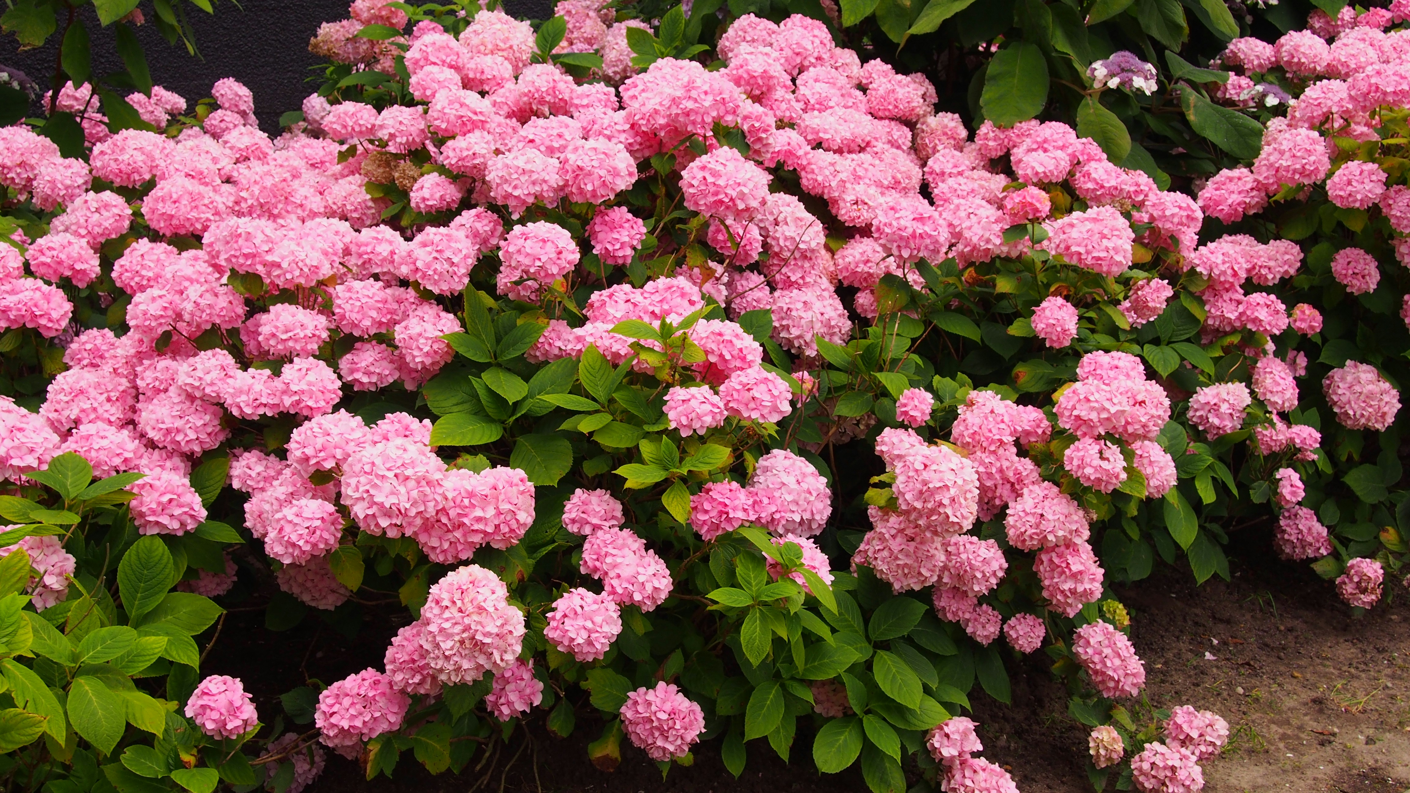 Free Unsplash photo from Sheri Richardson