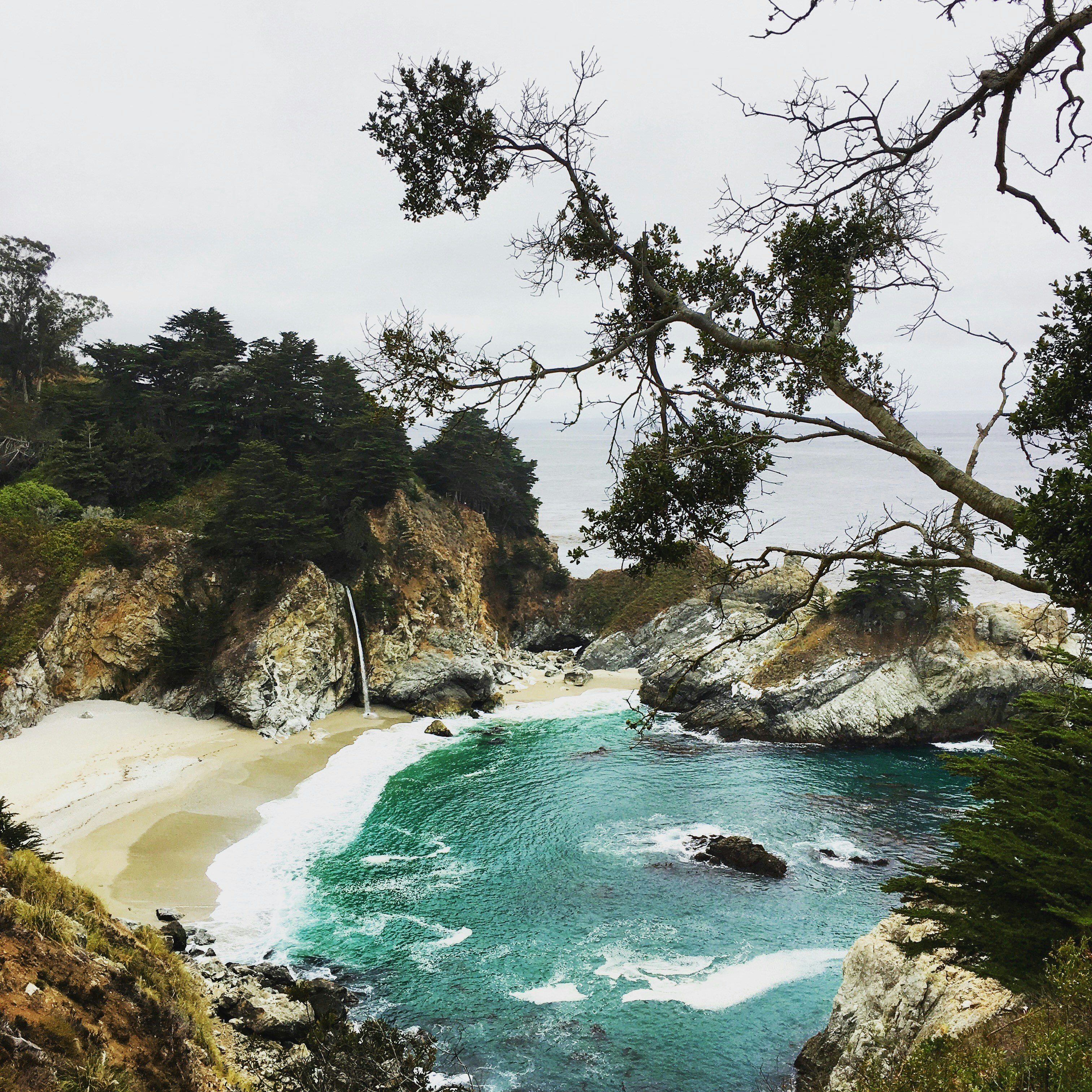 Free Unsplash photo from Raphael  Javaheri