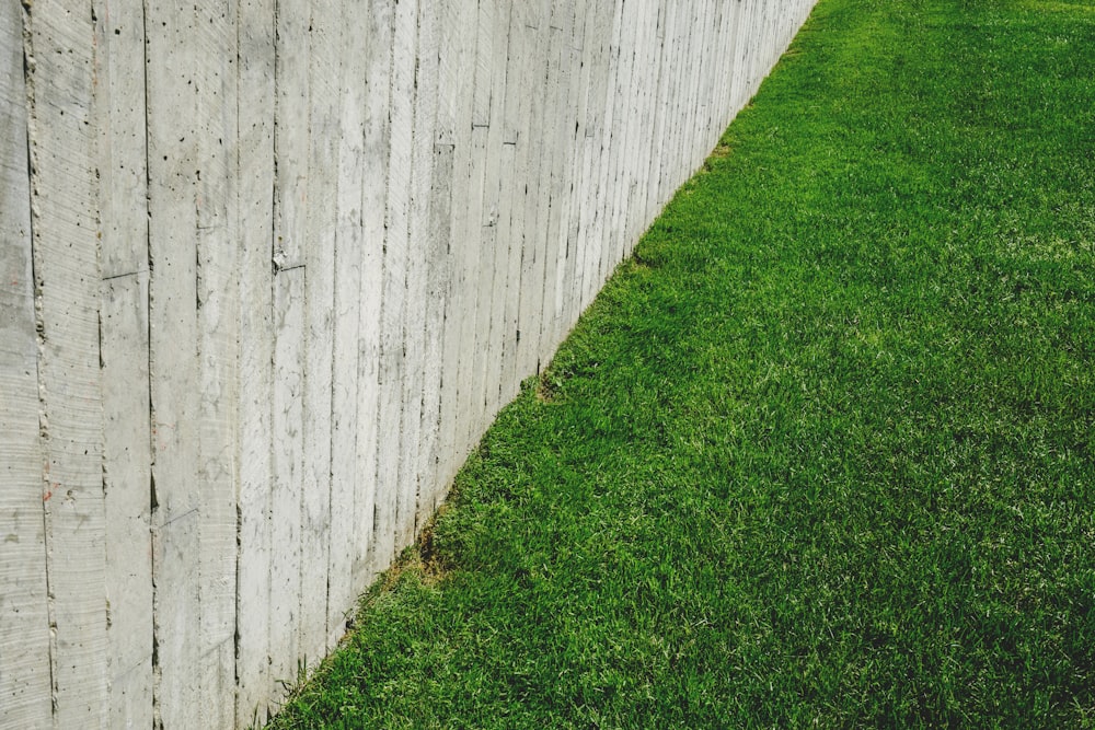 brown wooden fence on green lawn field