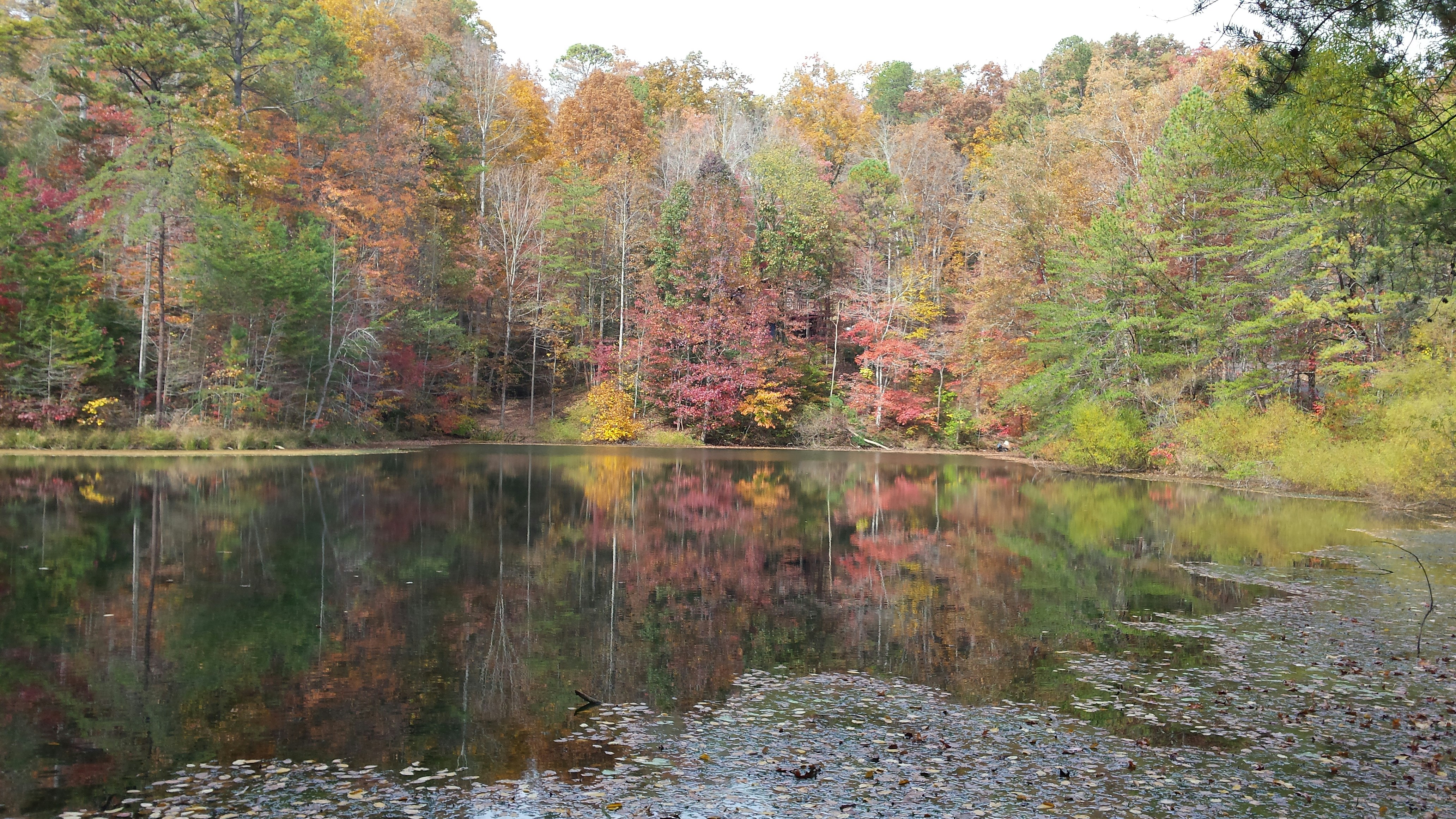 Free Unsplash photo from Sherry Guyberson