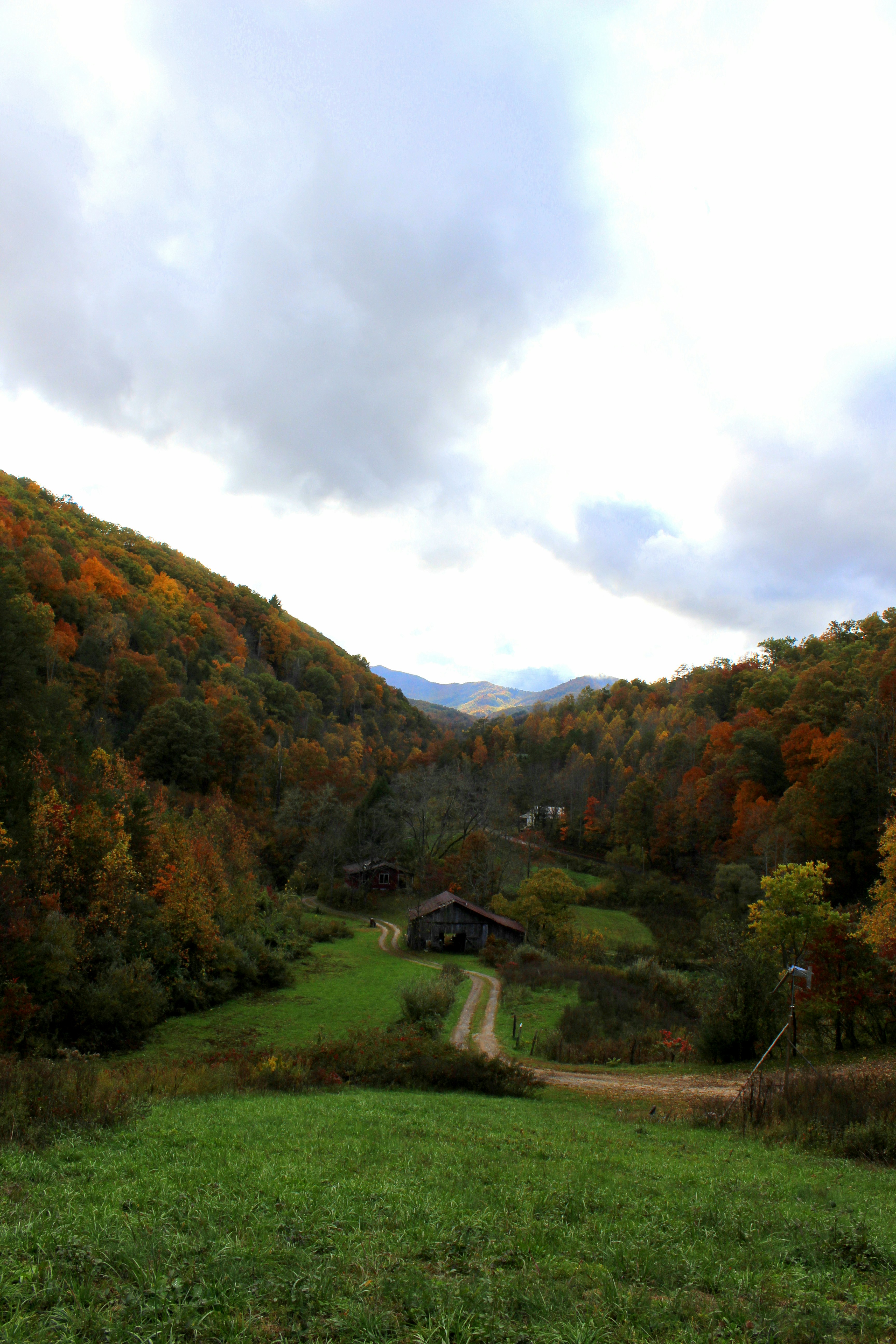 Free Unsplash photo from Sherry Guyberson