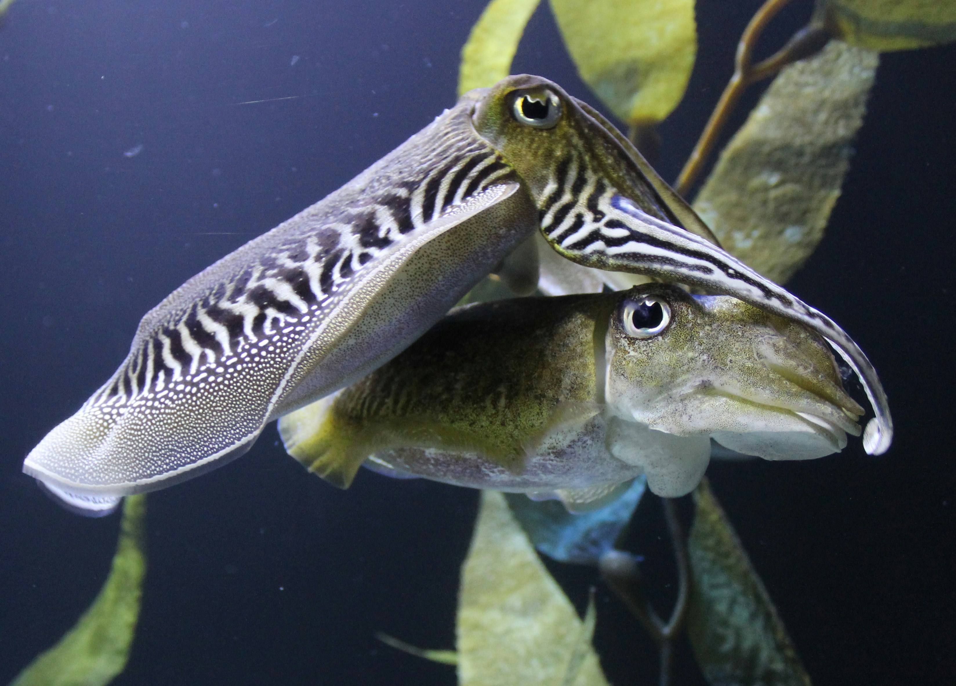 Free Unsplash photo from Sherry Guyberson