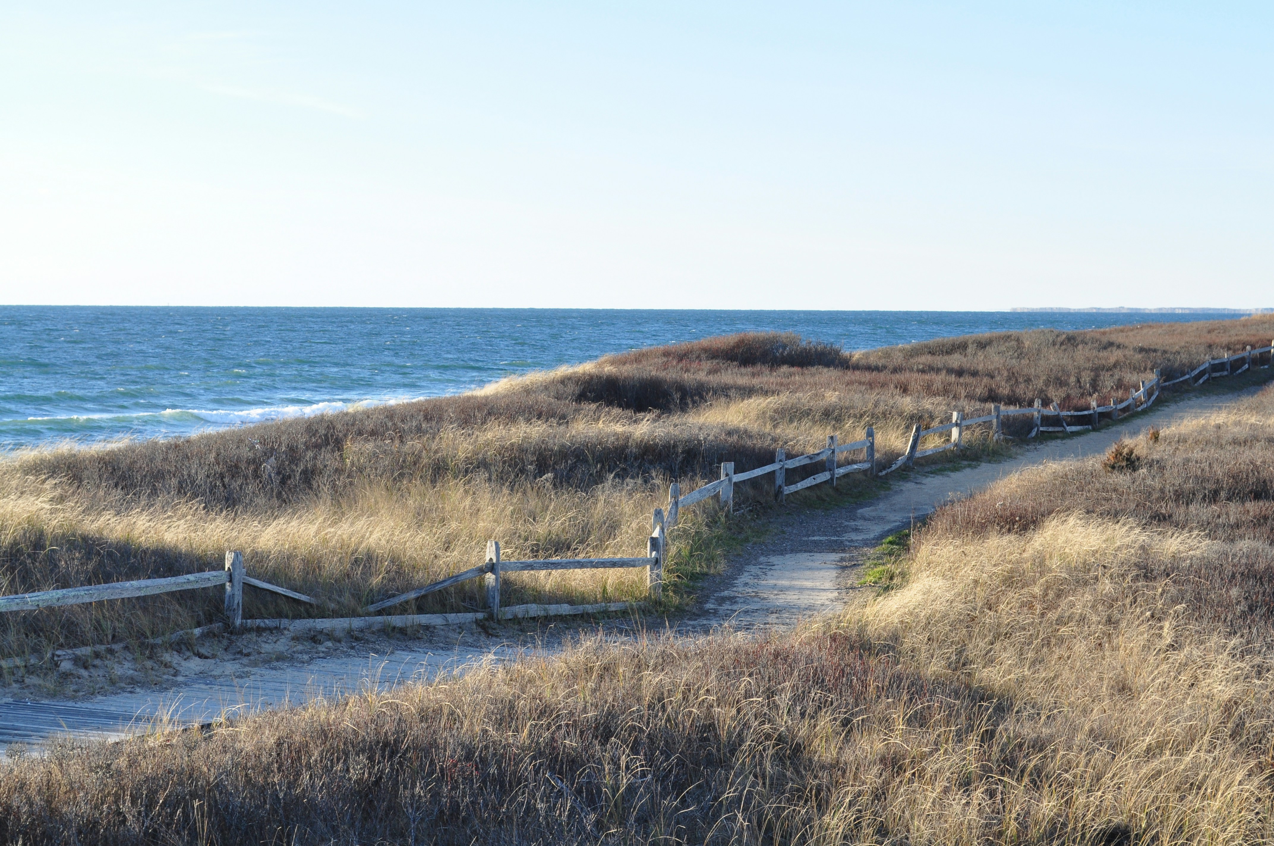 Free Unsplash photo from Patrick Vovor