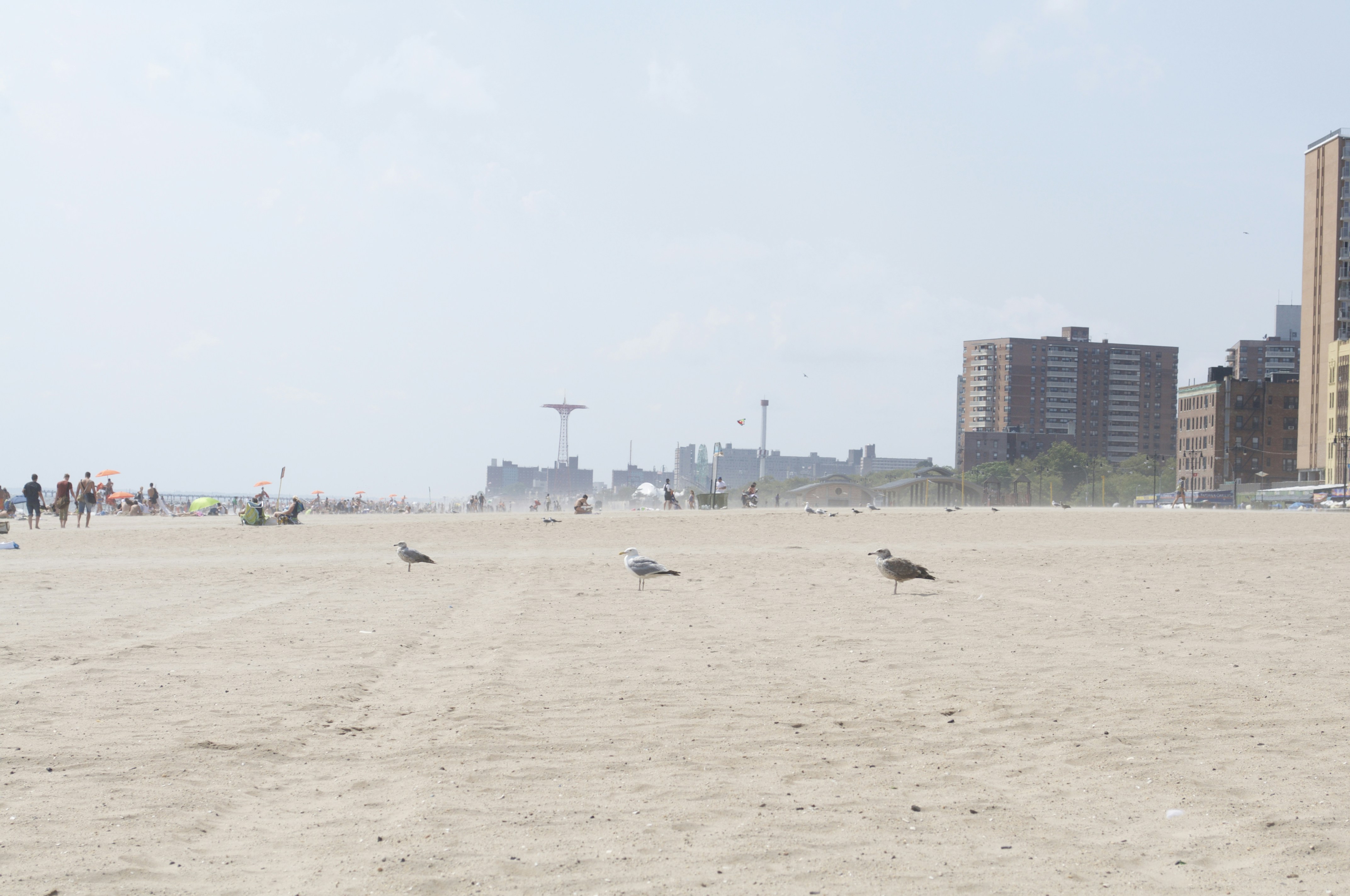 Free Unsplash photo from Patrick Vovor