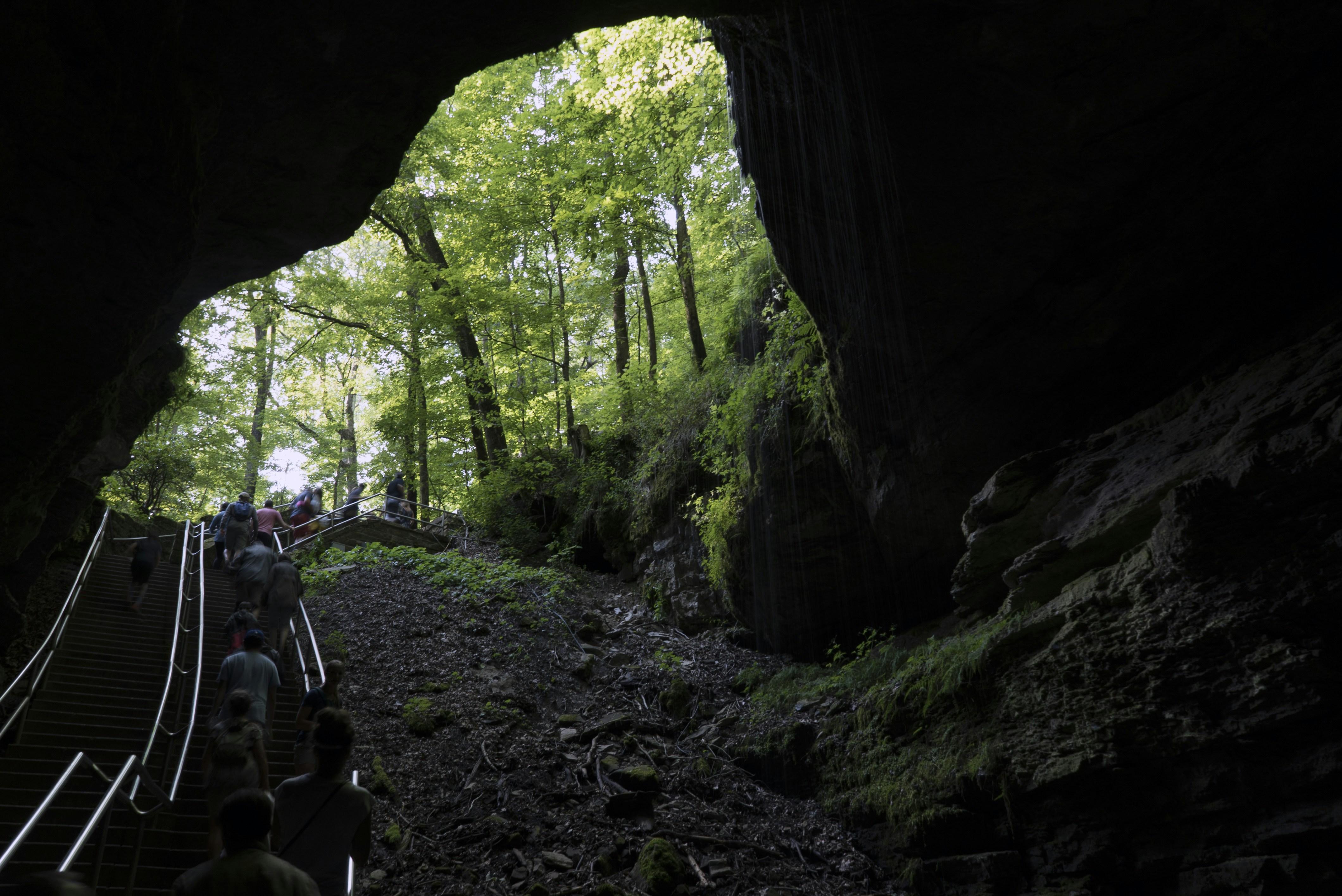 Free Unsplash photo from Tomas Salas