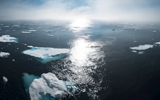 landscape and aerial photography of icebergs on body of water during daytime